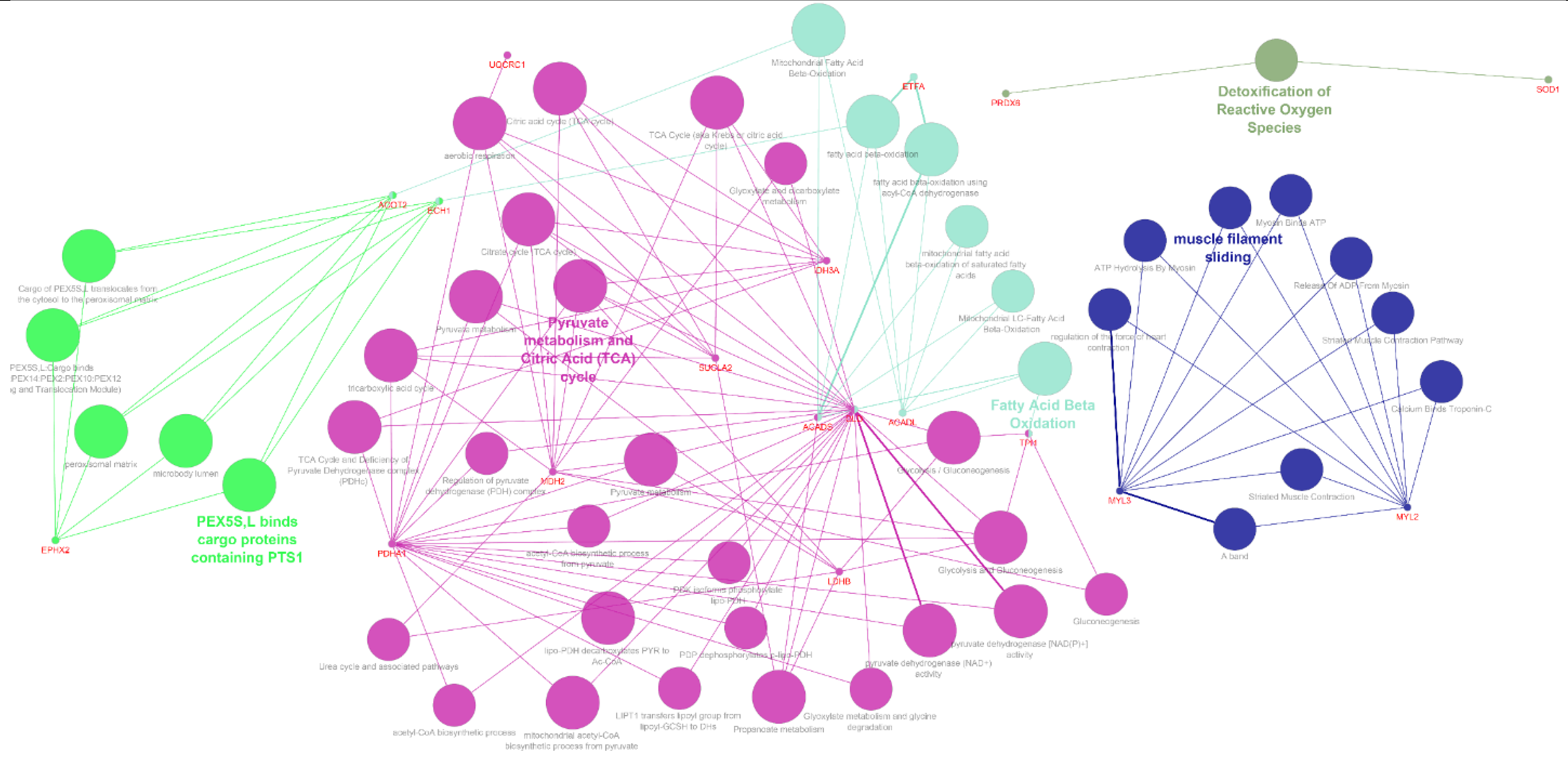 Nutrients 13 00330 g004 Nutrients 13 00330 g004