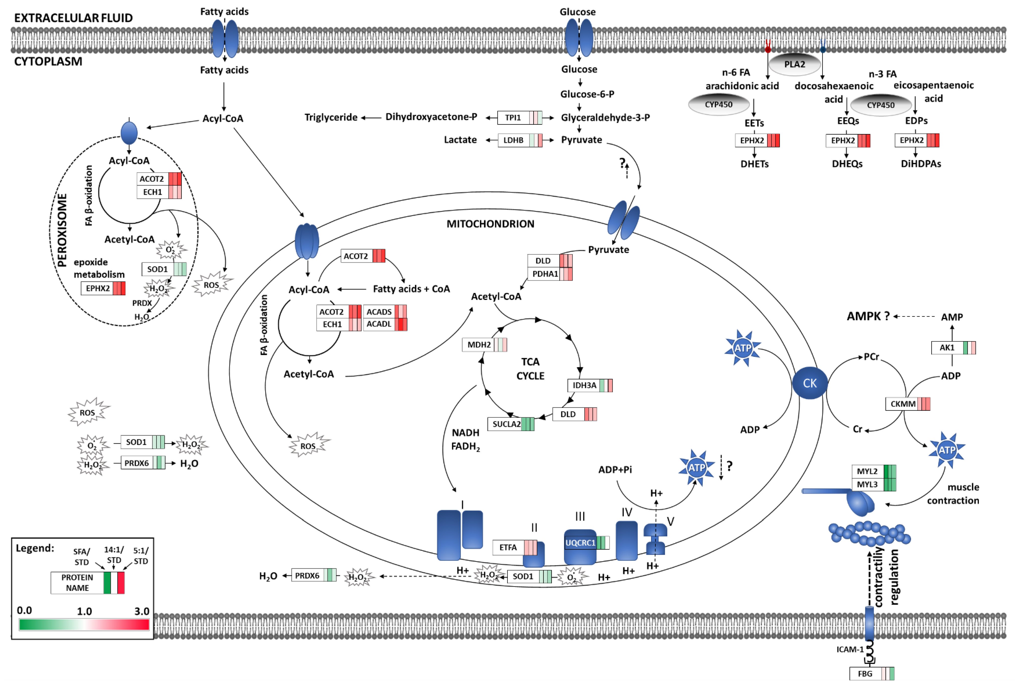 Nutrients 13 00330 g005 Nutrients 13 00330 g005