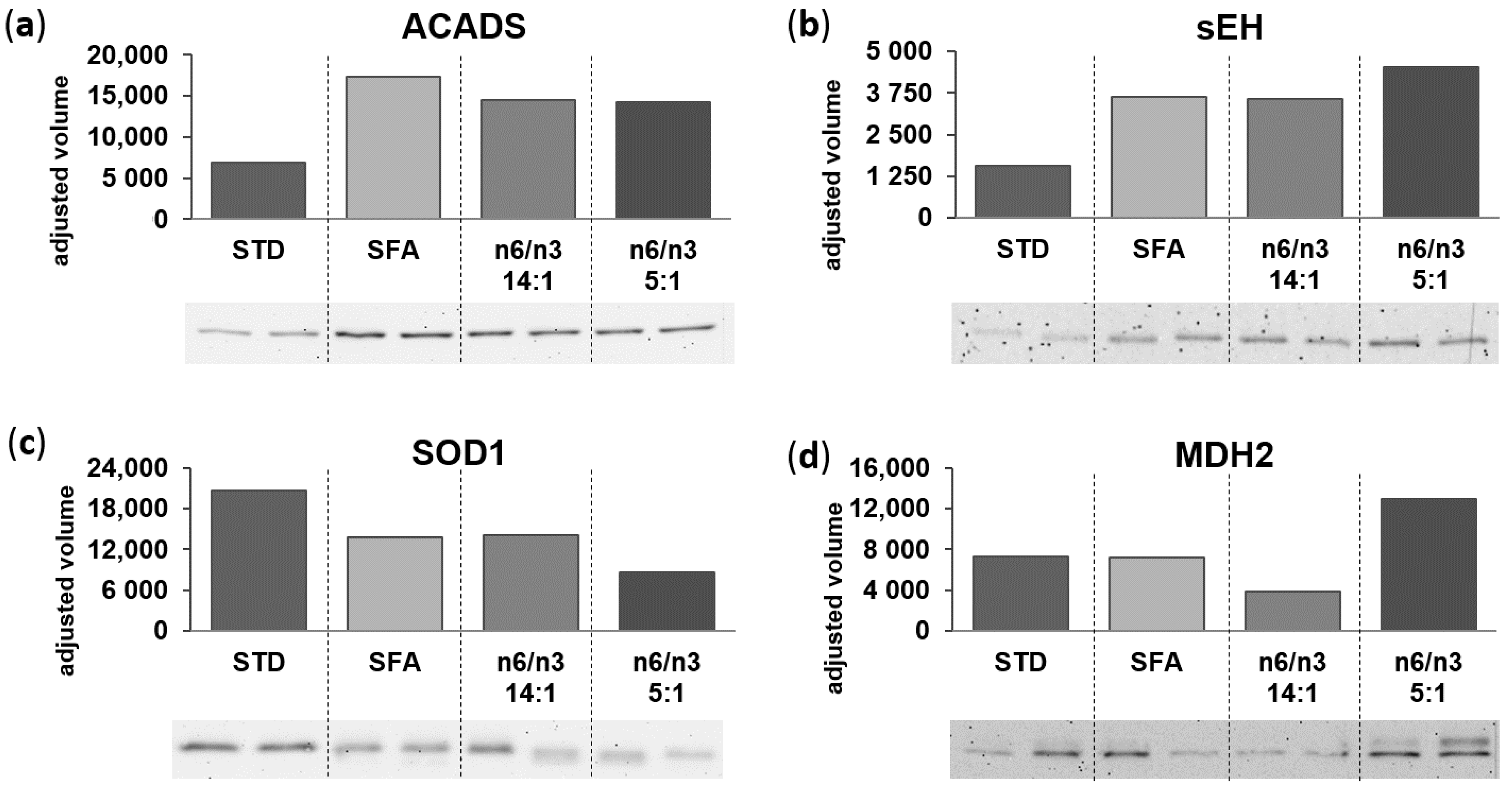 Nutrients 13 00330 g006 Nutrients 13 00330 g006