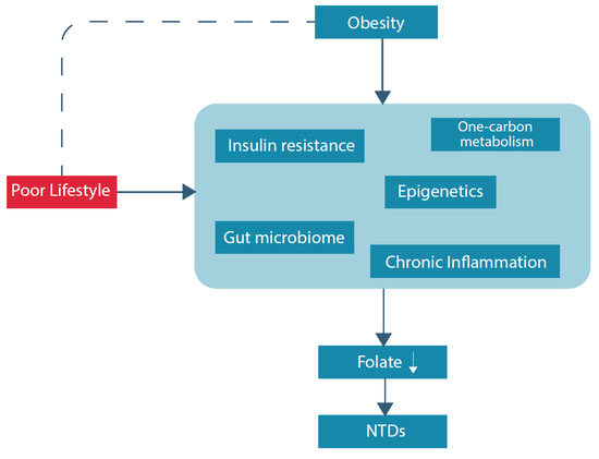 Nutrients 13 00331 g002 550