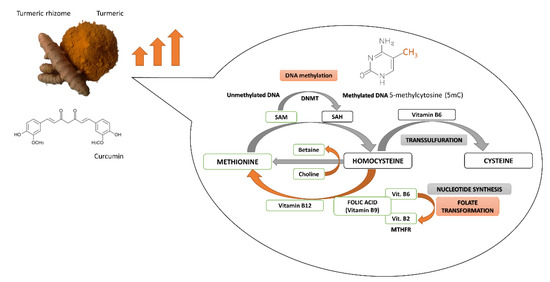 Nutrients 13 00332 g002 550