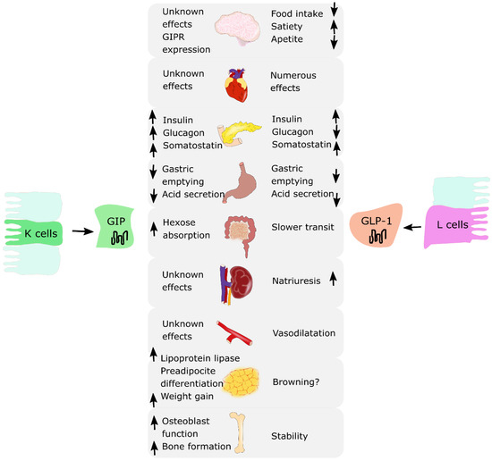 Nutrients 13 00351 g001 550