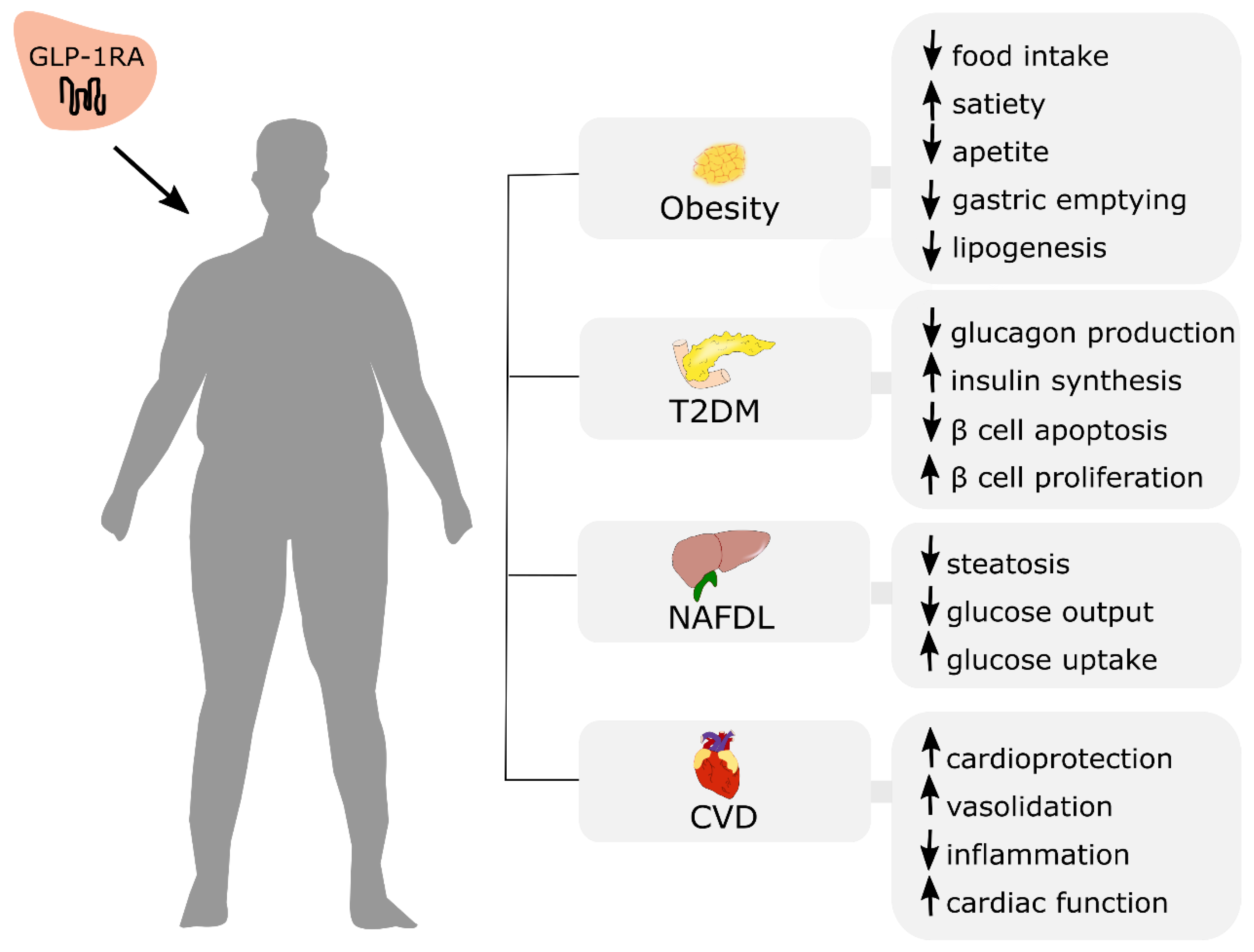 Nutrients 13 00351 g004 Nutrients 13 00351 g004