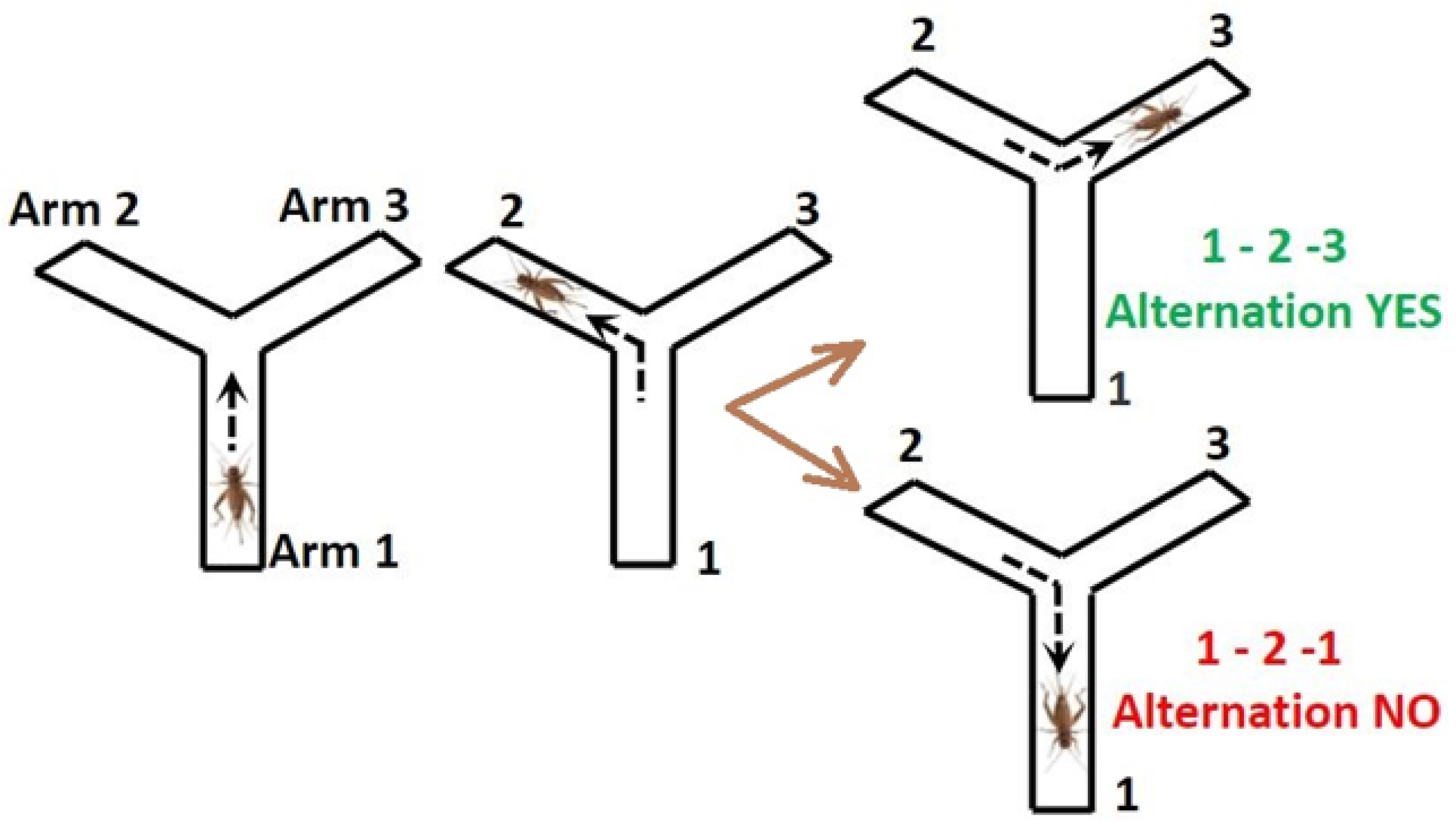 Nutrients 13 00362 g002