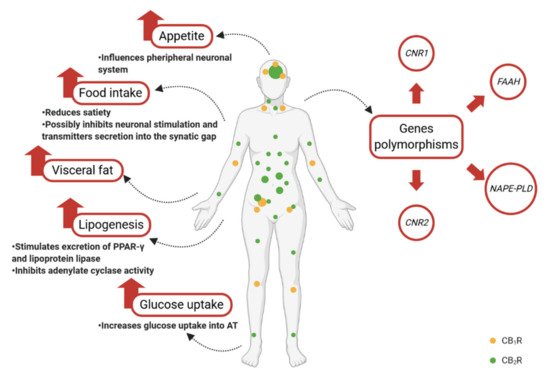 Nutrients 13 00373 g002 550