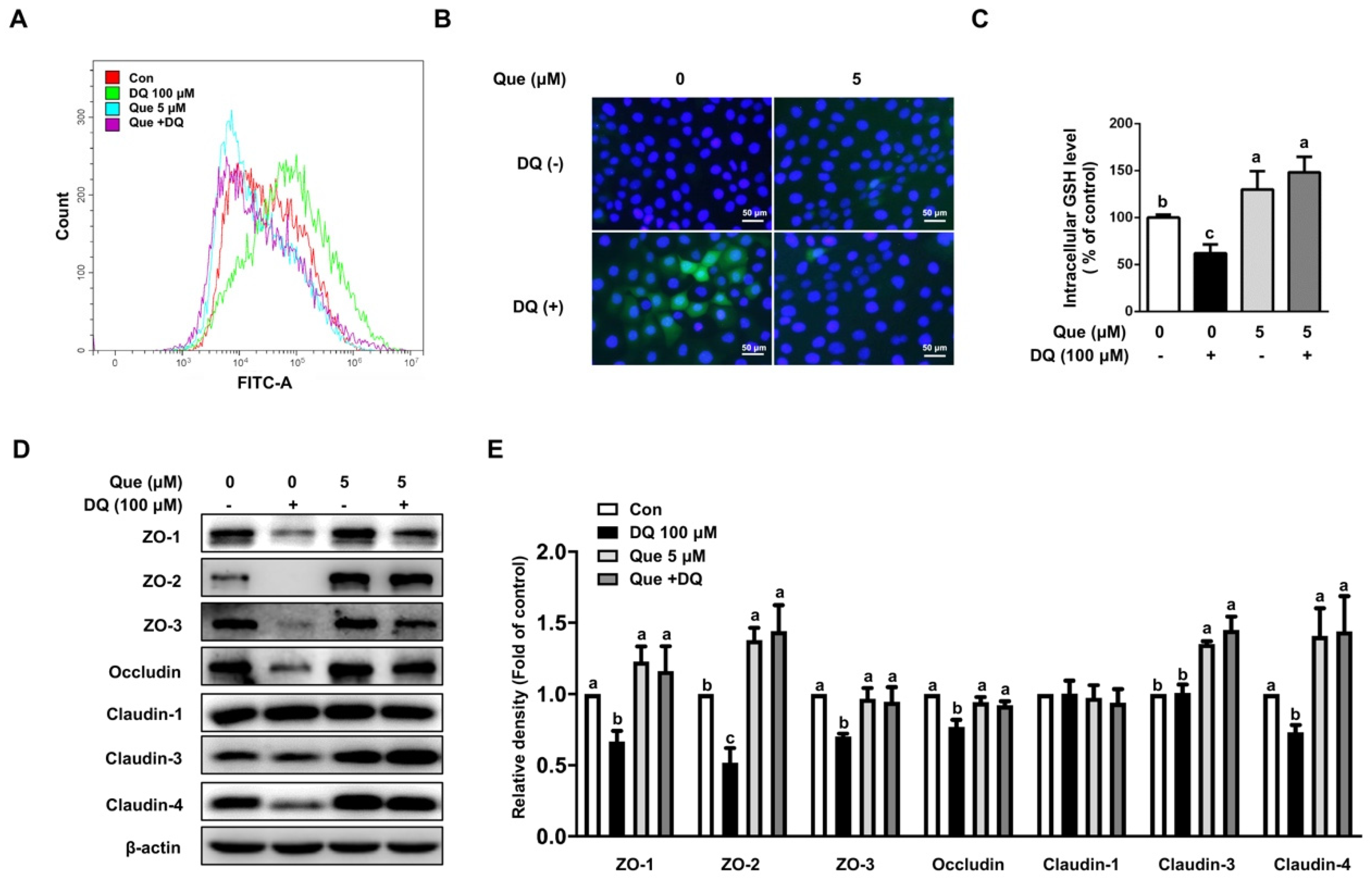 Nutrients 13 00375 g003