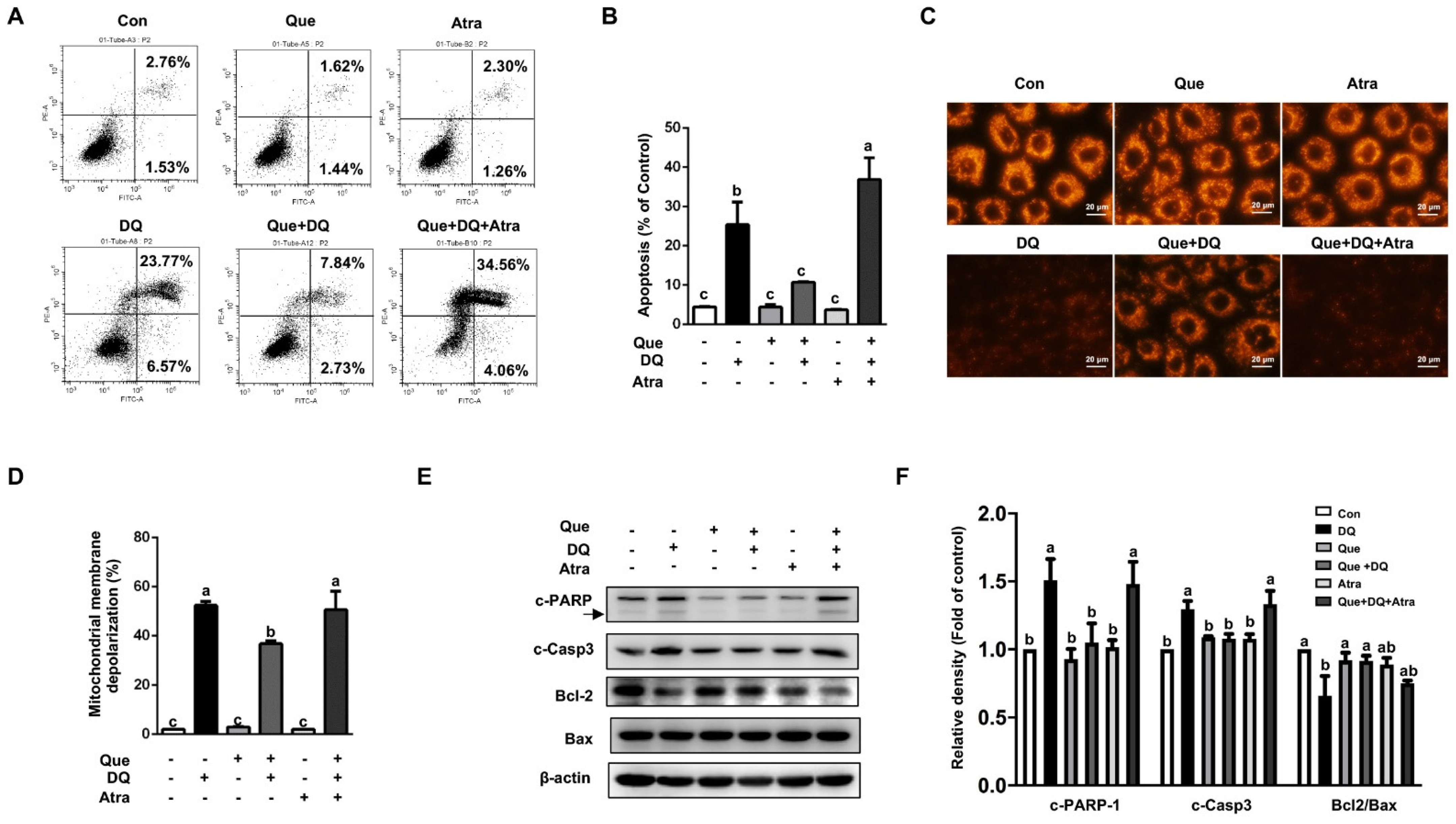 Nutrients 13 00375 g006