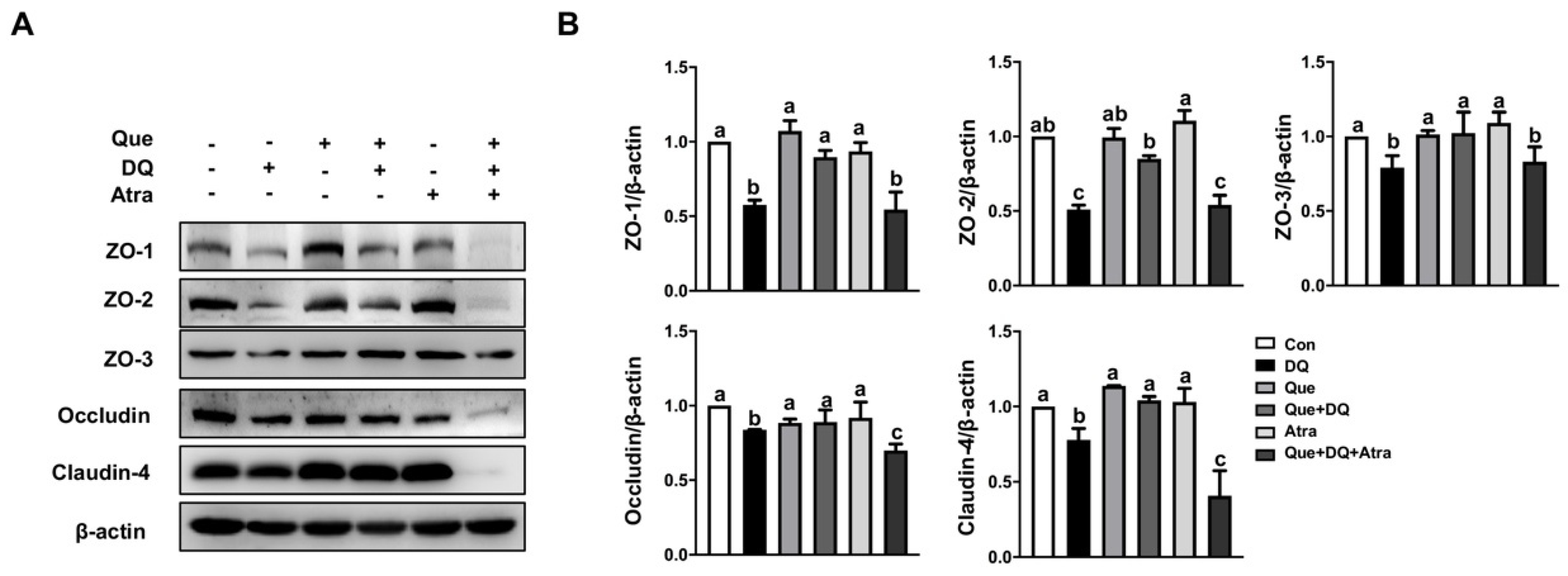 Nutrients 13 00375 g007