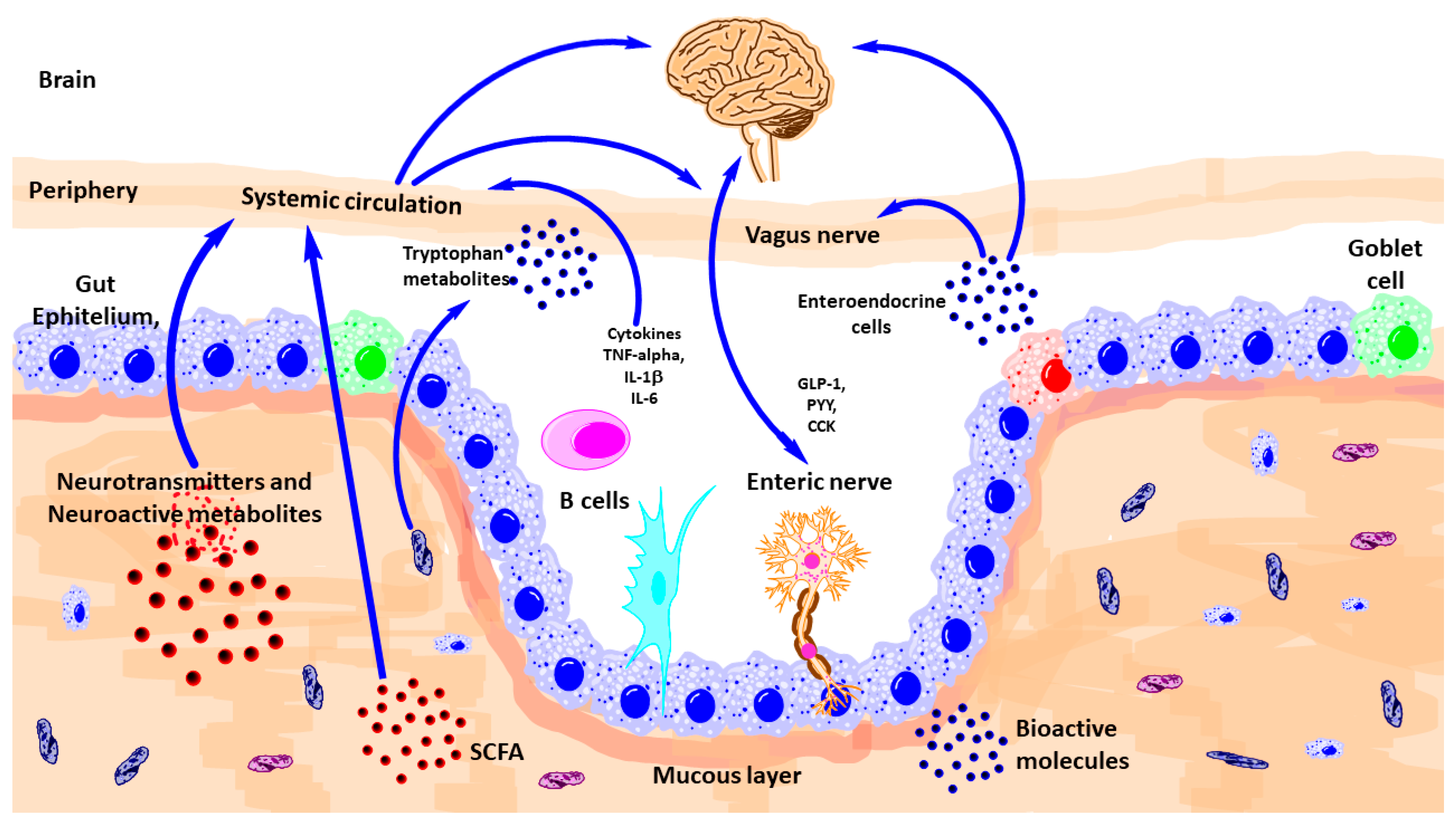 Nutrients 13 00389 g002