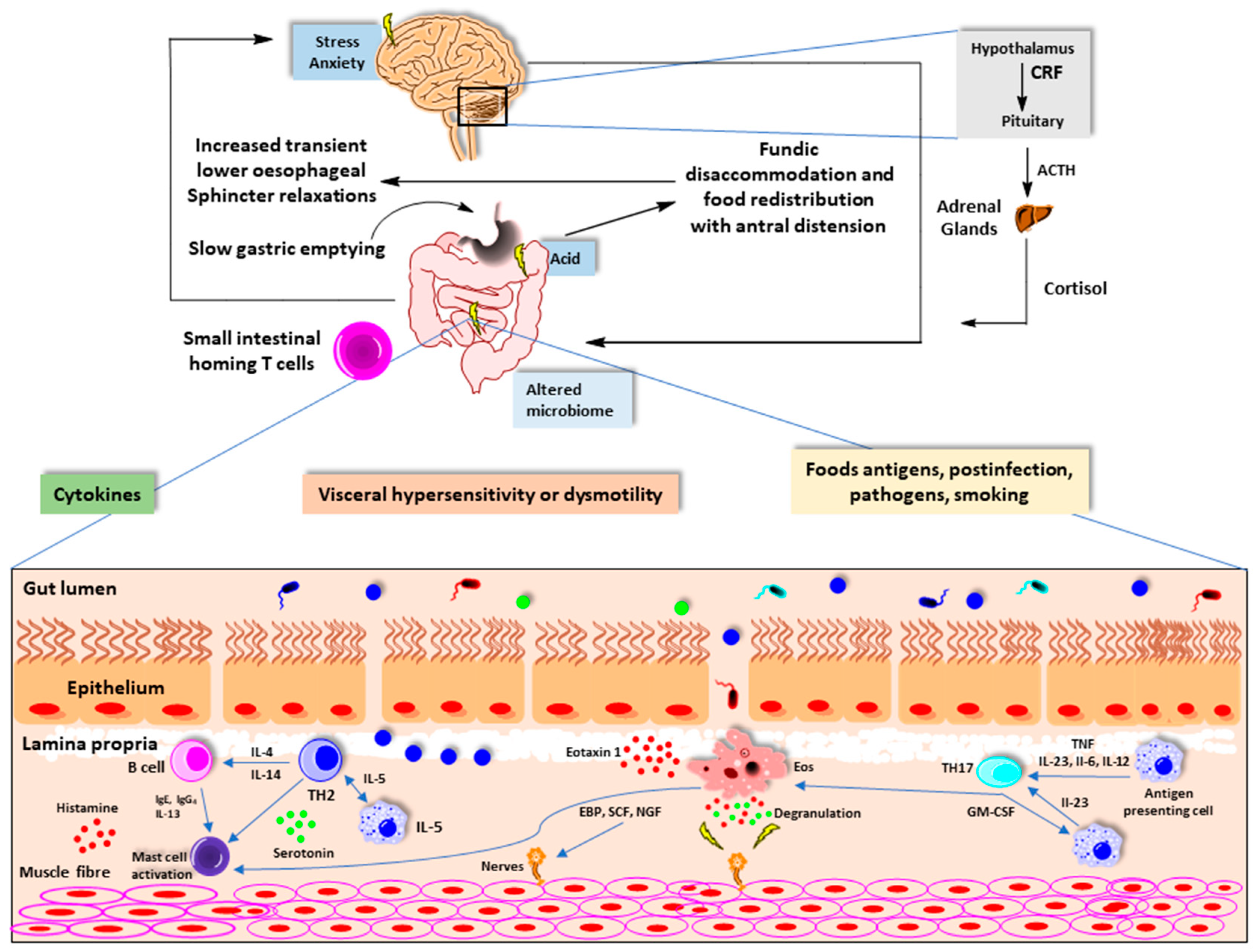 Nutrients 13 00389 g003