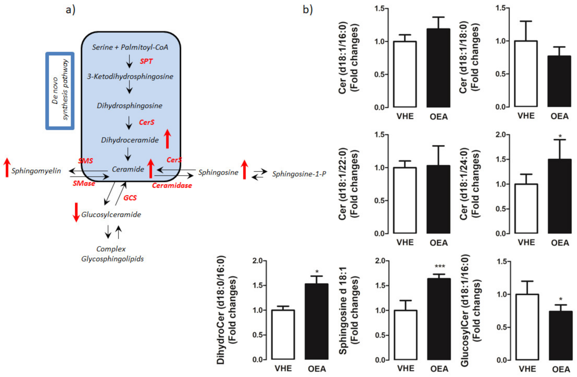 Nutrients 13 00394 g003 Nutrients 13 00394 g003