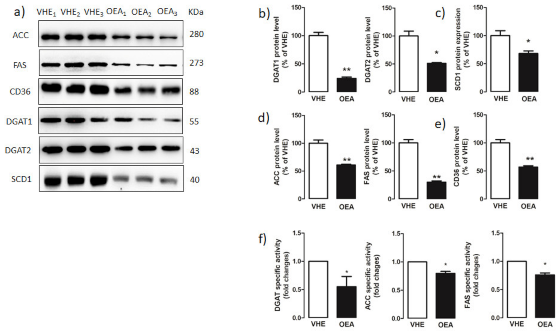 Nutrients 13 00394 g004 Nutrients 13 00394 g004
