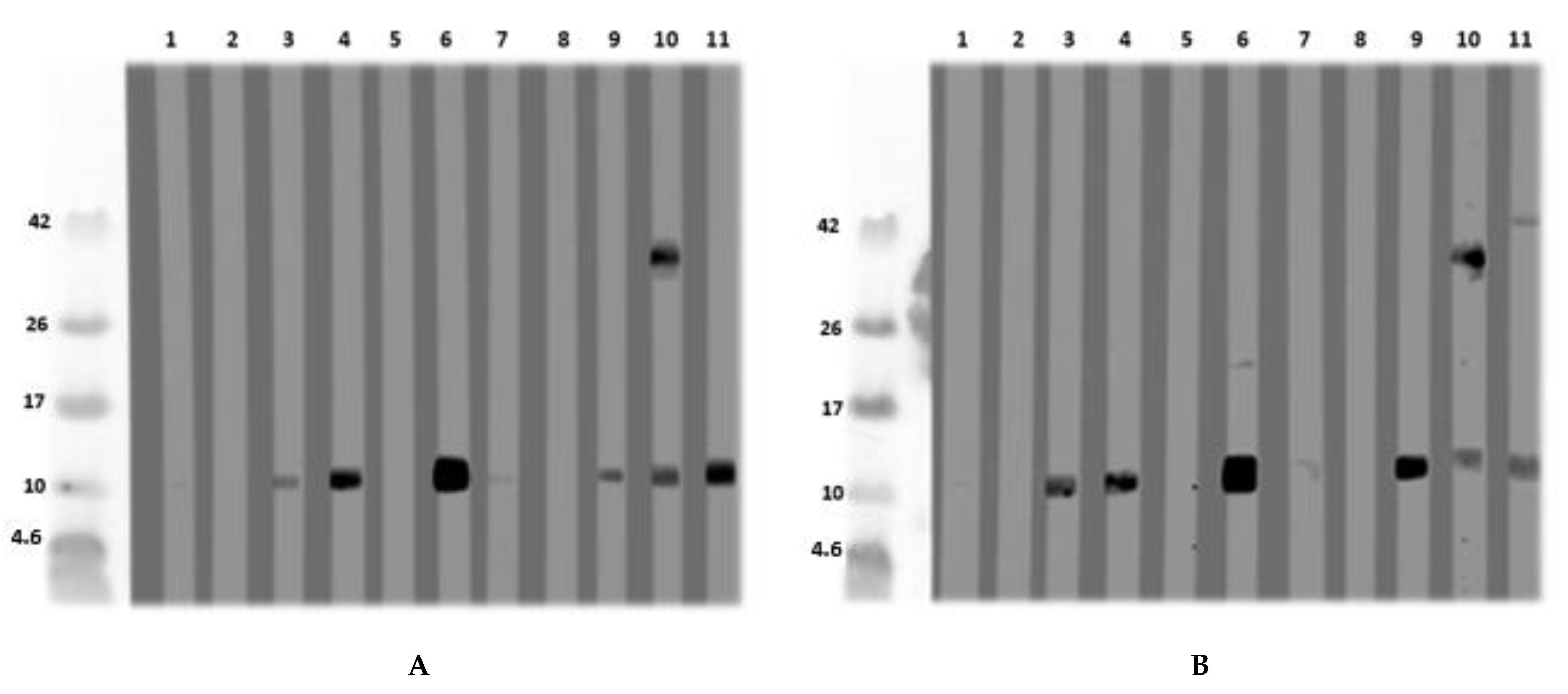 Nutrients 13 00409 g004a