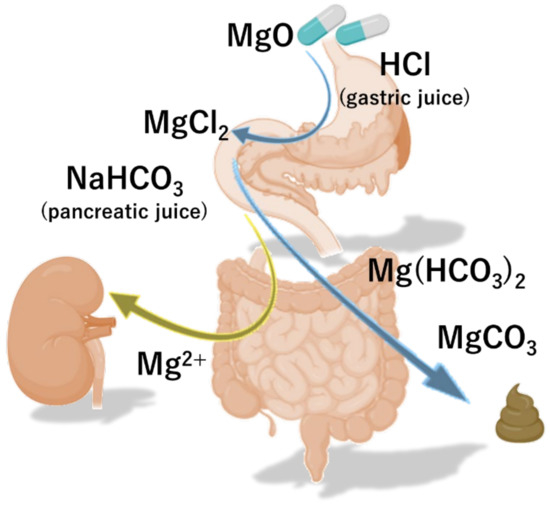 Nutrients 13 00421 g001 550