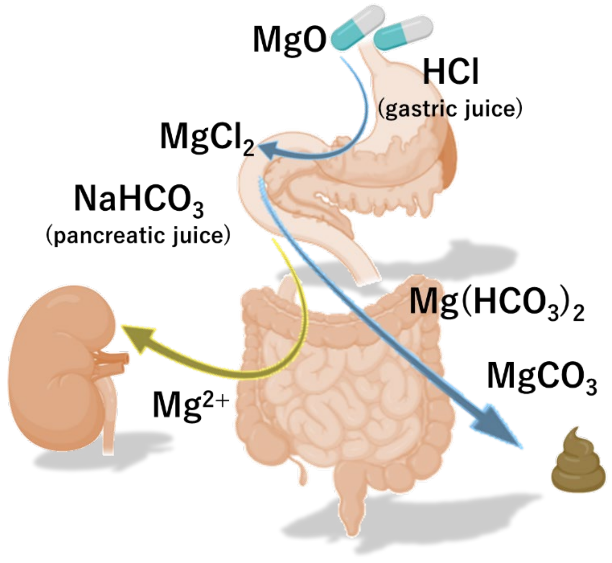 Nutrients | Free Full-Text | Magnesium Oxide in Constipation | HTML Nutrients | Free Full-Text | Magnesium Oxide in Constipation | HTML