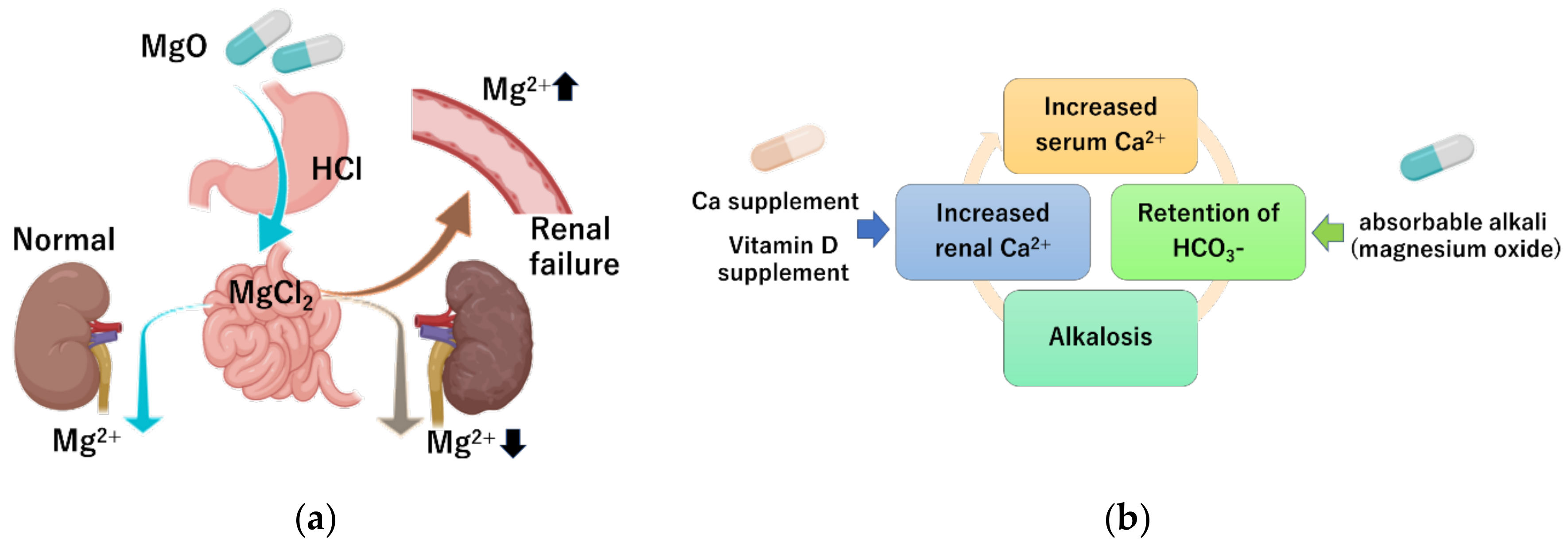 Nutrients Free FullText Magnesium Oxide in Constipation