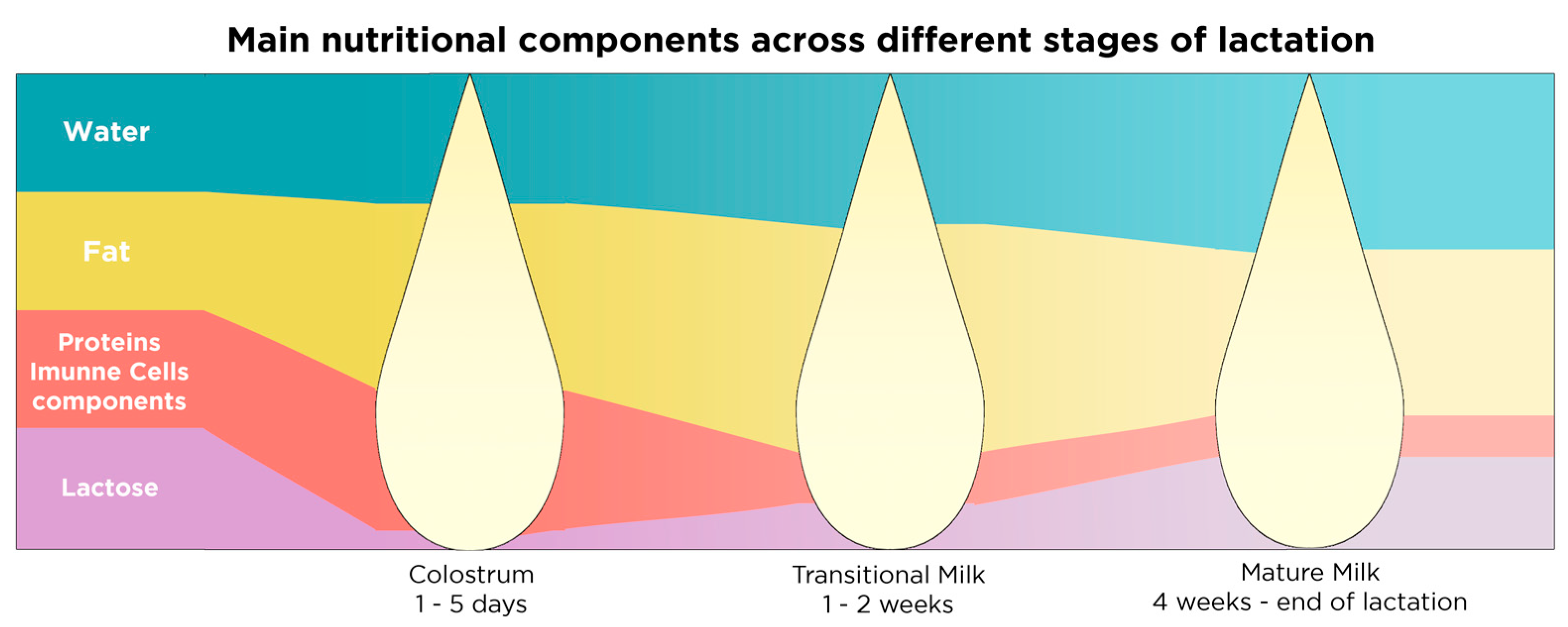 Nutrients 13 00423 g003
