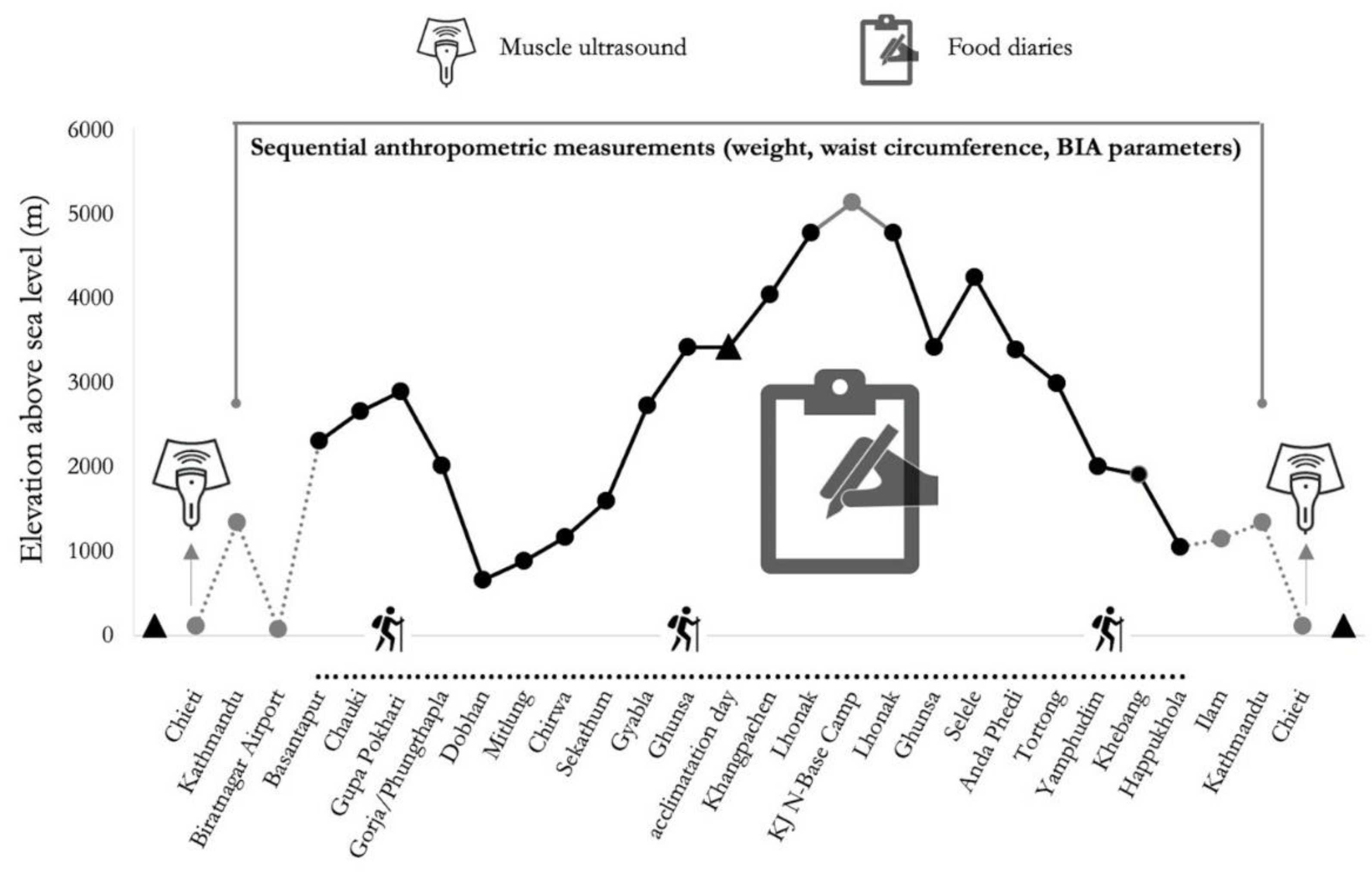 Nutrients 13 00460 g001