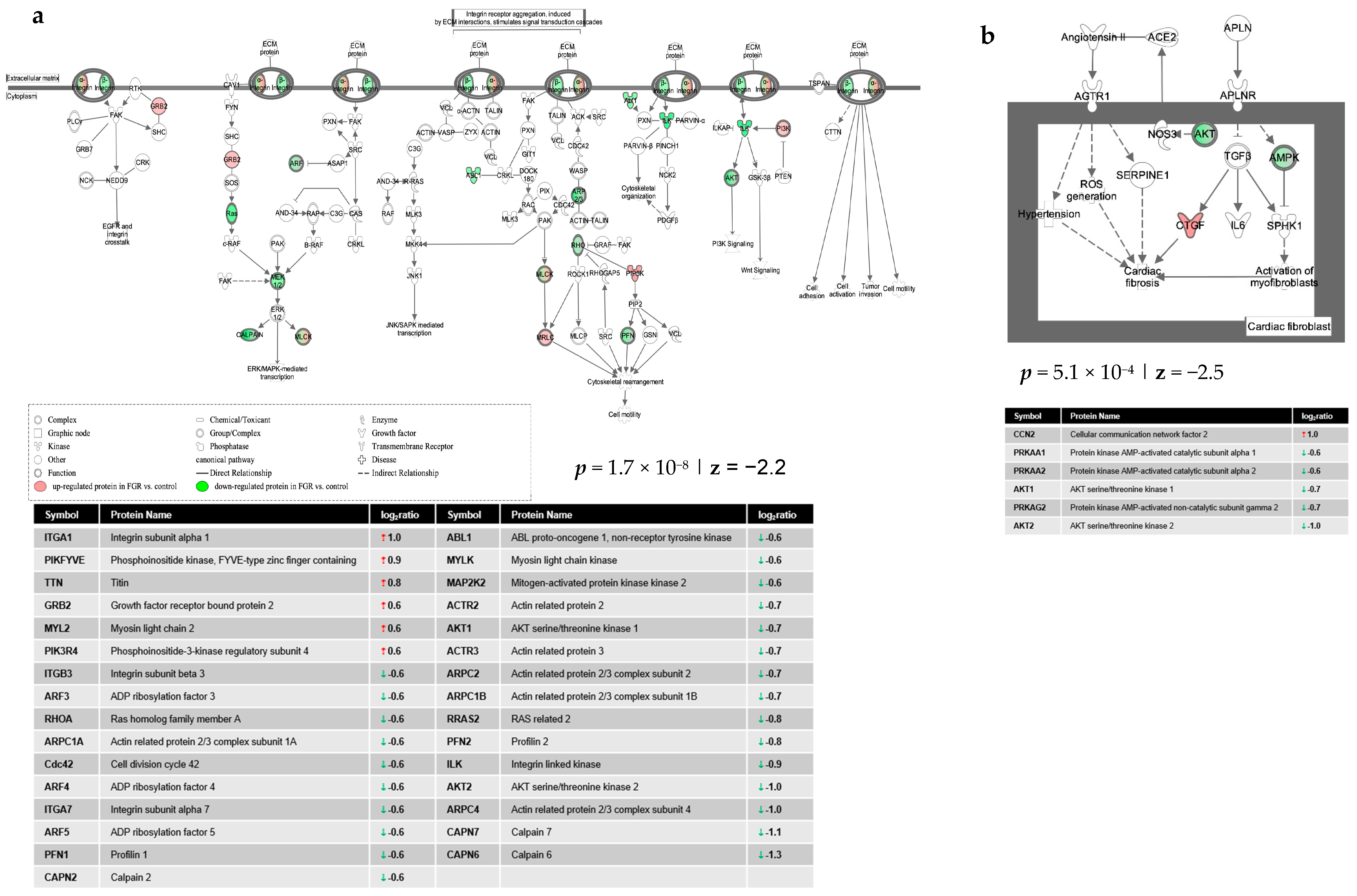 Nutrients 13 00466 g002