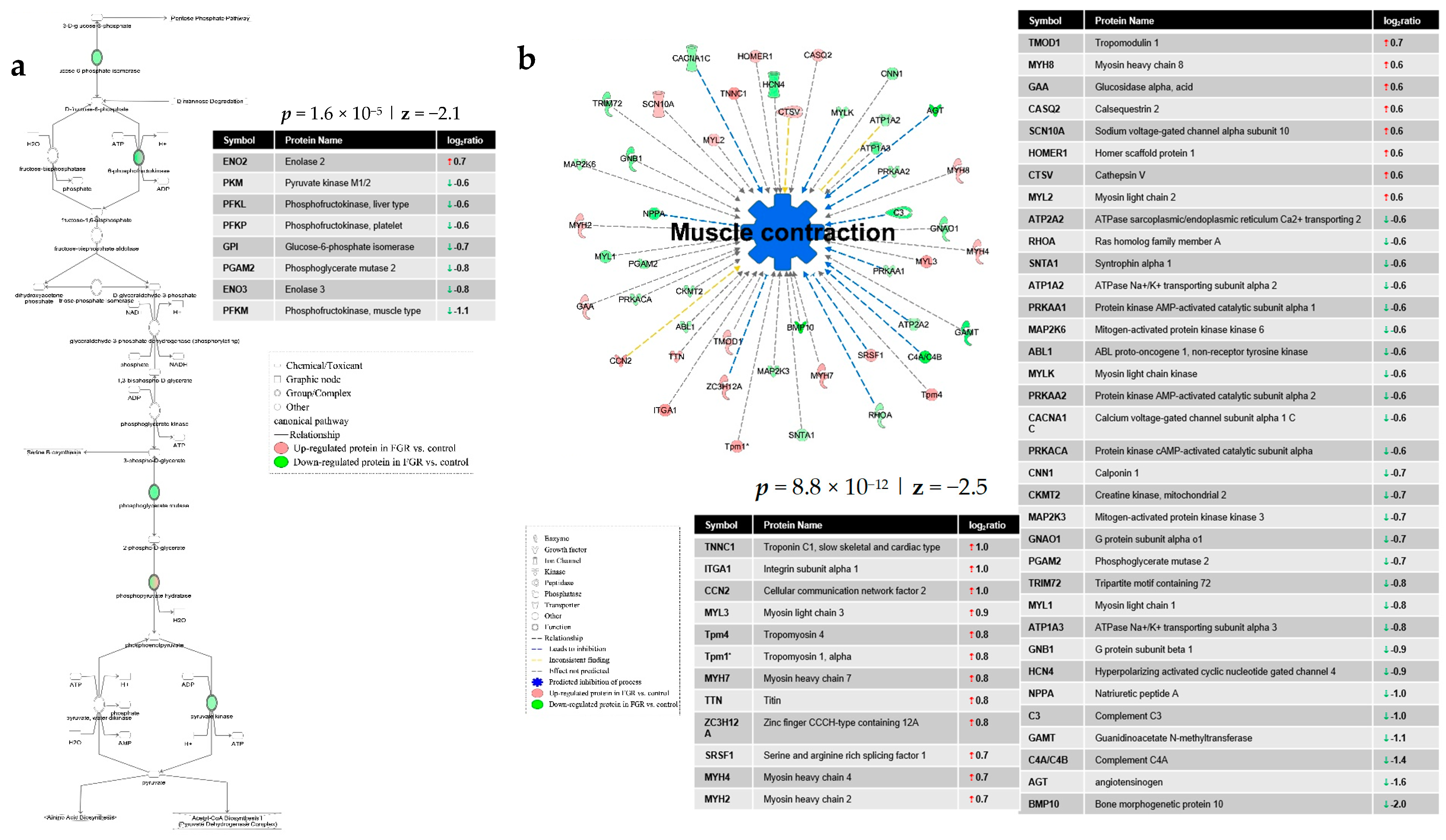 Nutrients 13 00466 g003