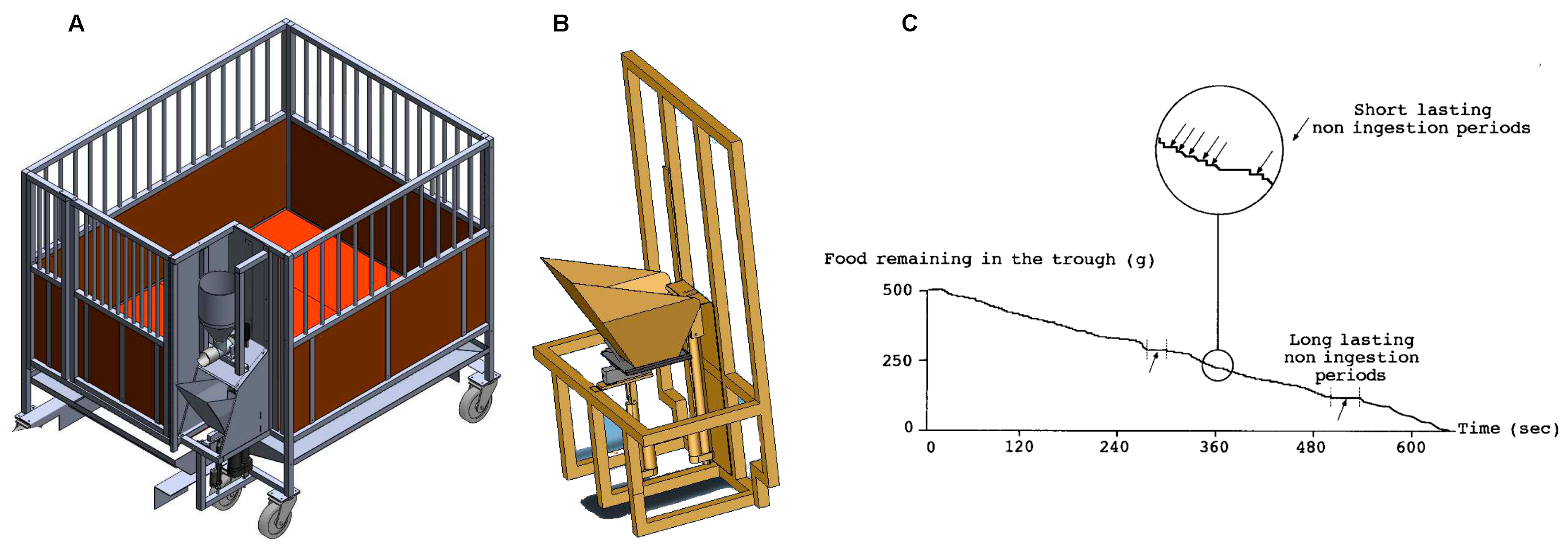 Nutrients 13 00467 g001 Nutrients 13 00467 g001