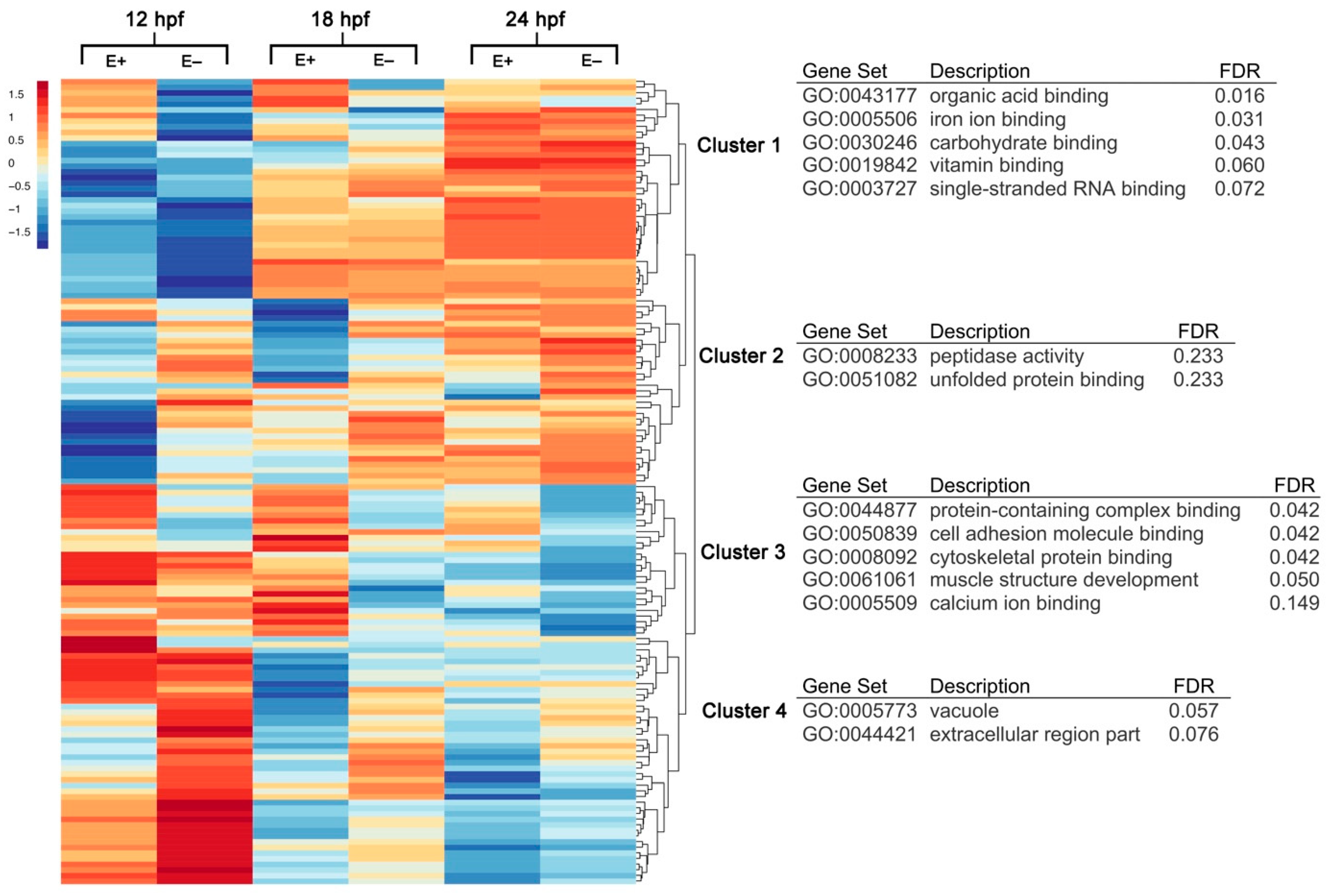 Nutrients 13 00468 g001 Nutrients 13 00468 g001