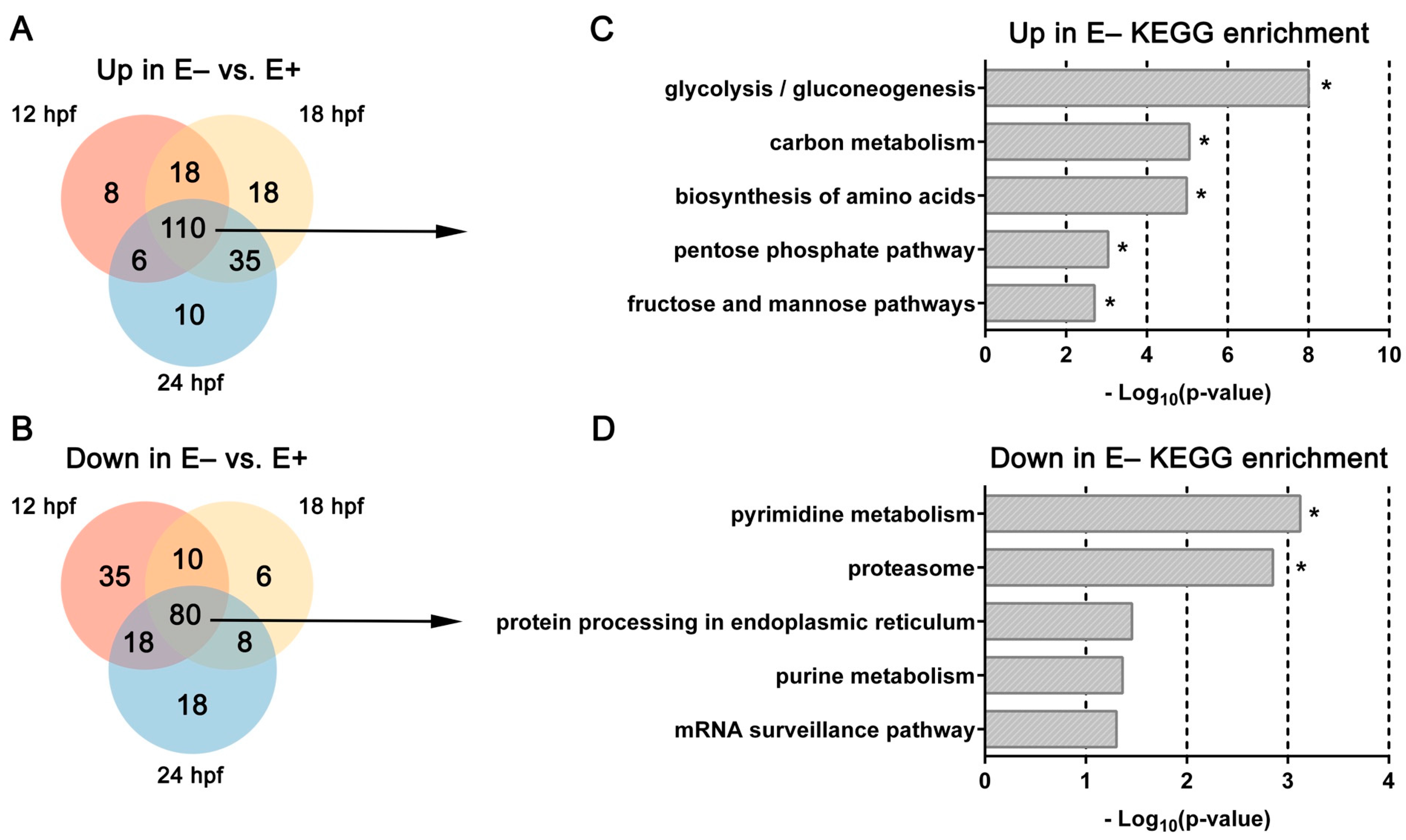 Nutrients 13 00468 g002 Nutrients 13 00468 g002