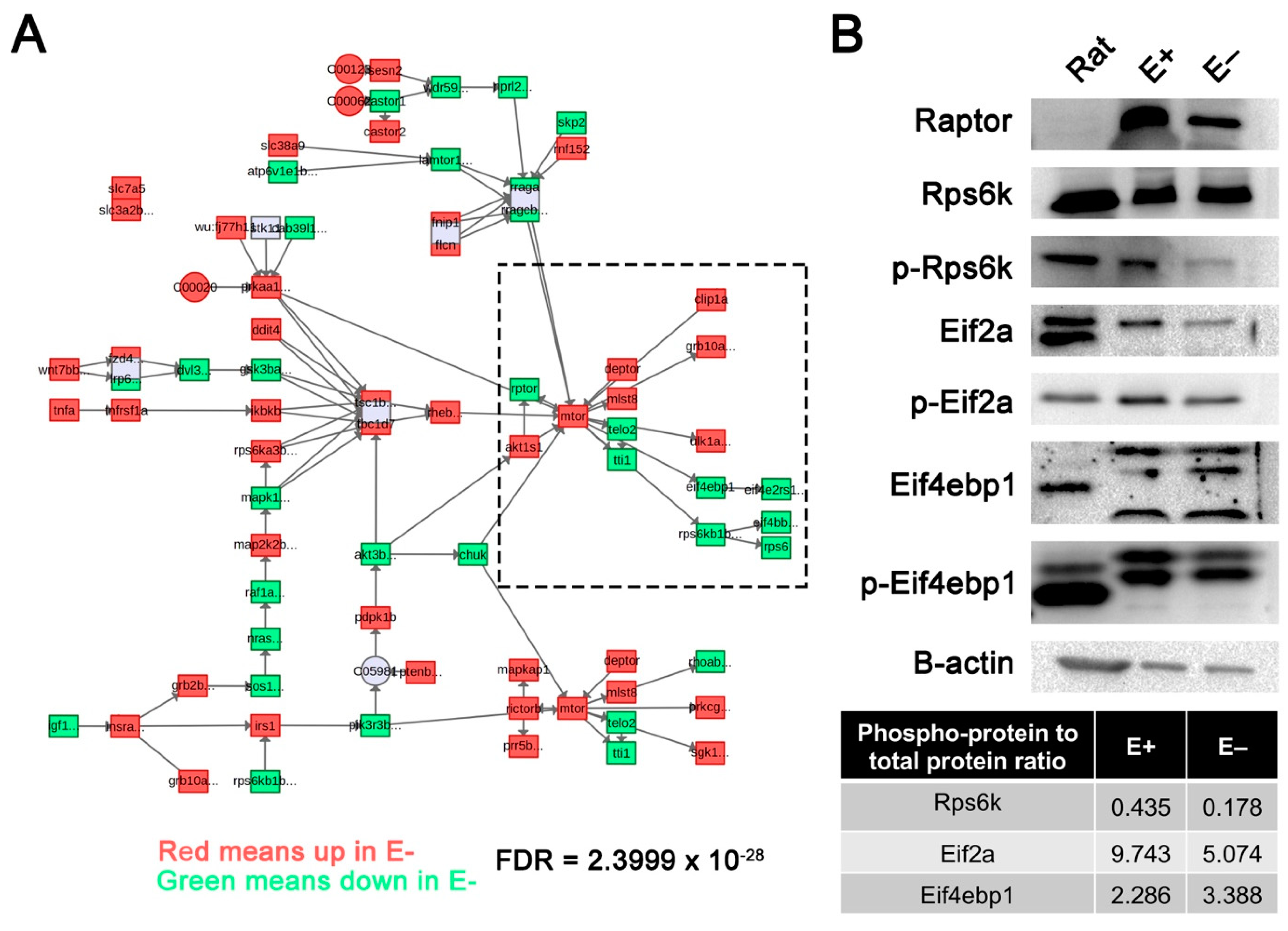Nutrients 13 00468 g005 Nutrients 13 00468 g005