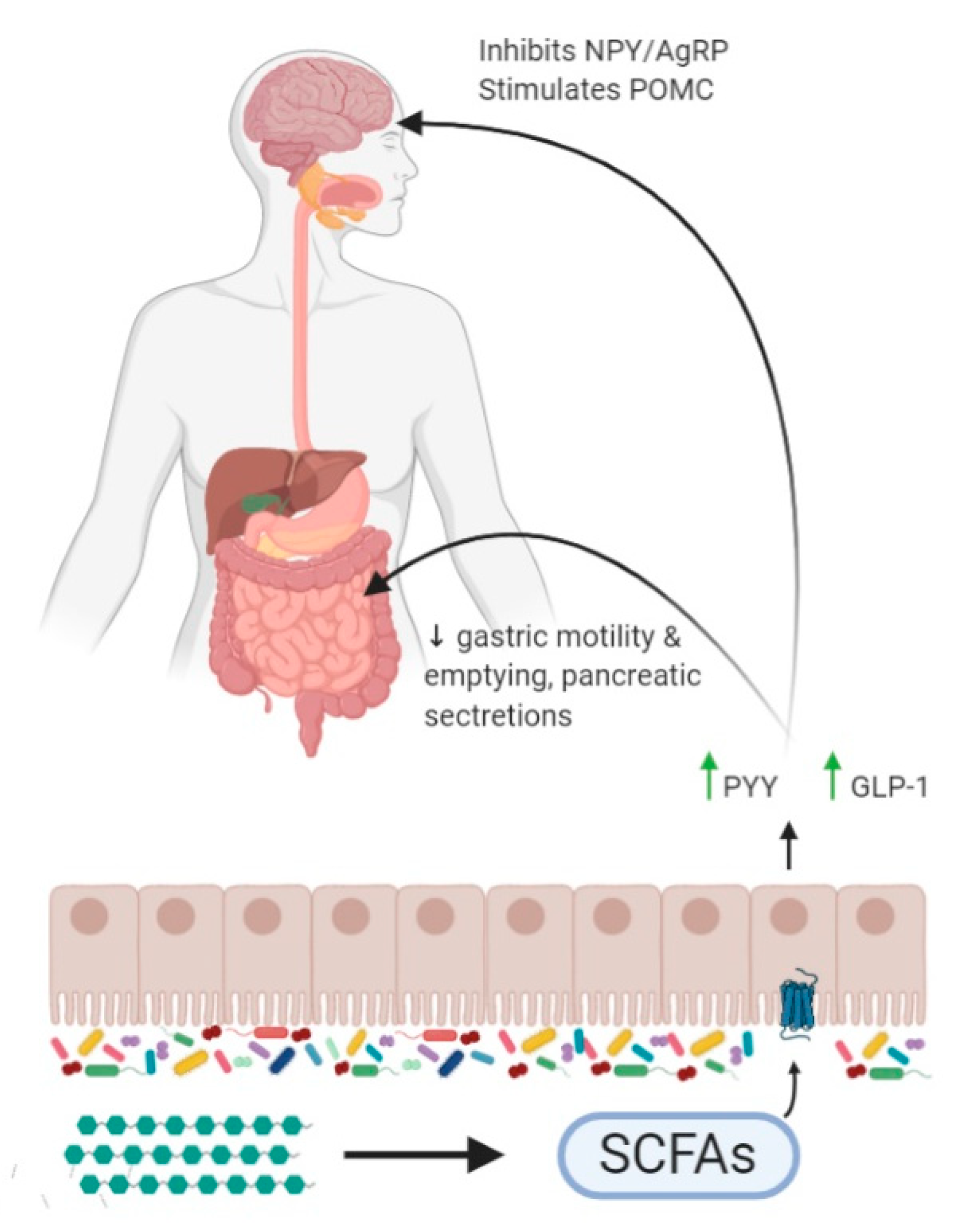 Nutrients 13 00481 g003 Nutrients 13 00481 g003