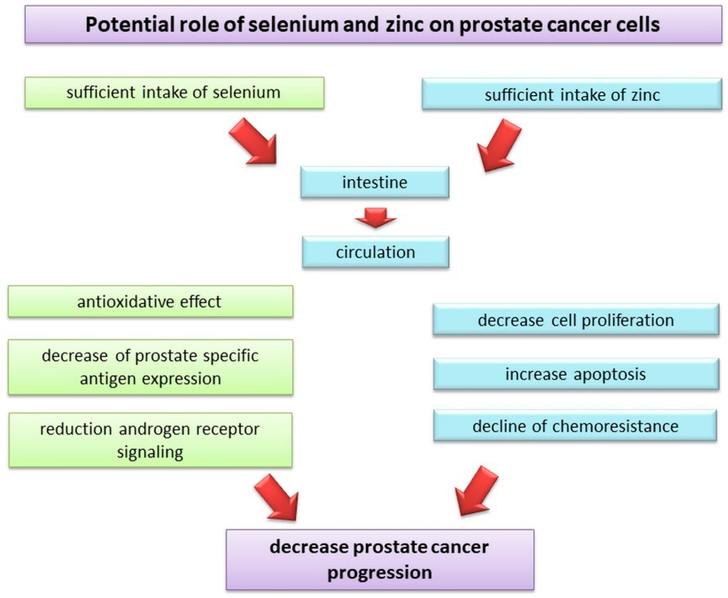 Endometrial cancer obesity Endometrial cancer and obesity, Endometrial cancer obesity