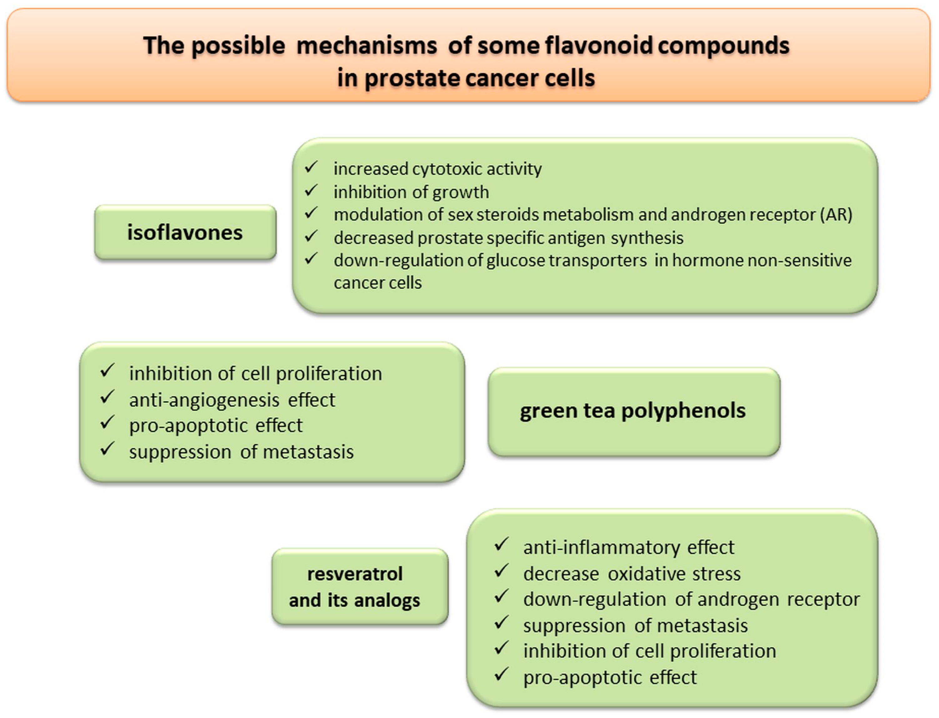【高い素材】 Dietary Factors and Prostate Cancer Development, Progression その他