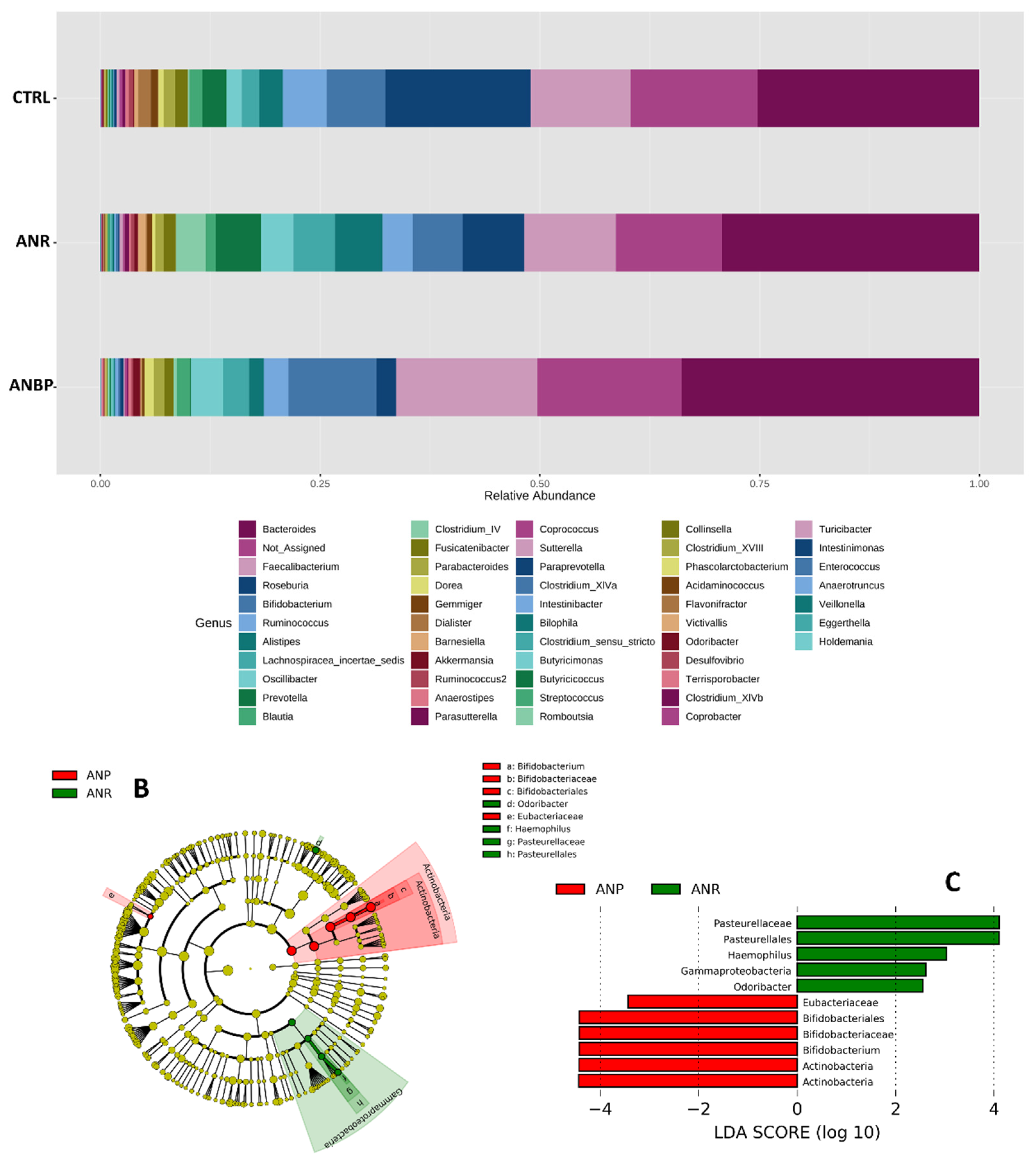 Nutrients 13 00507 g004