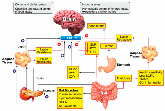 Nutrients 13 00510 g002 550