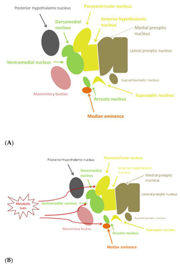 Nutrients 13 00520 g001 550