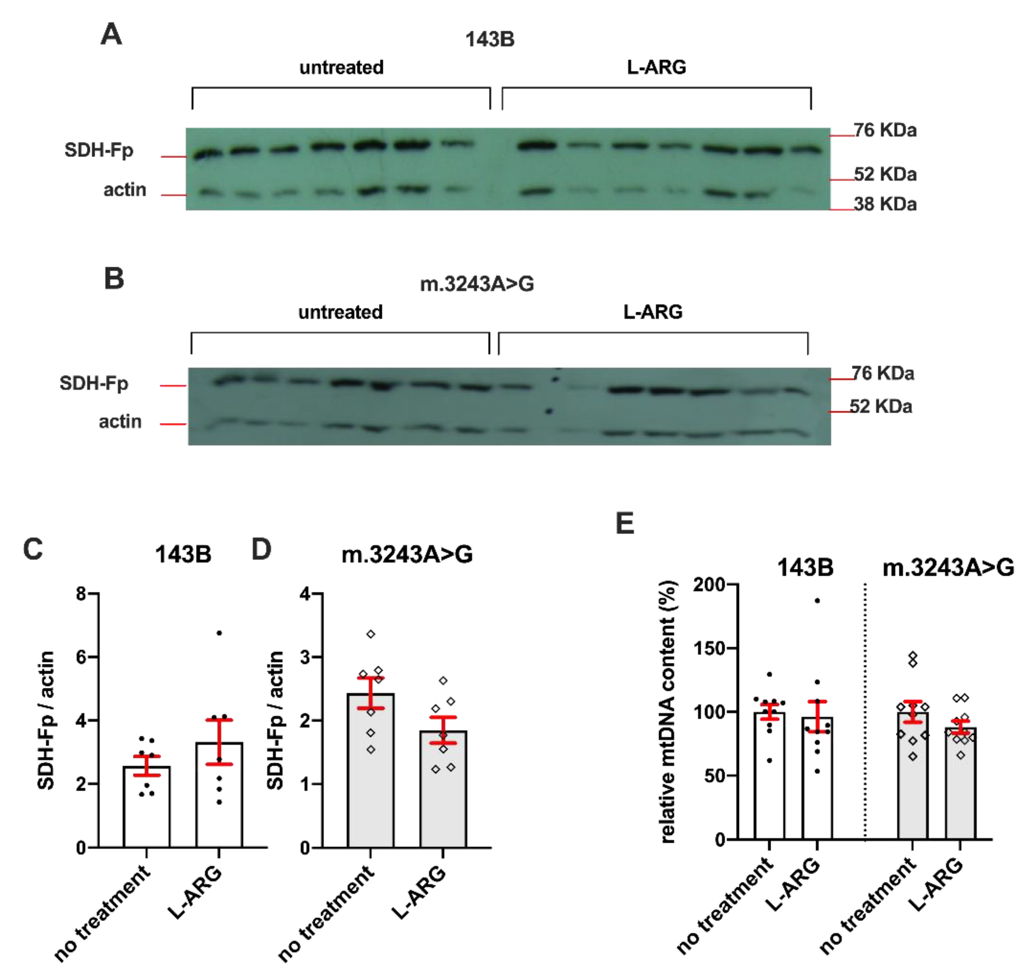 Nutrients 13 00534 g003