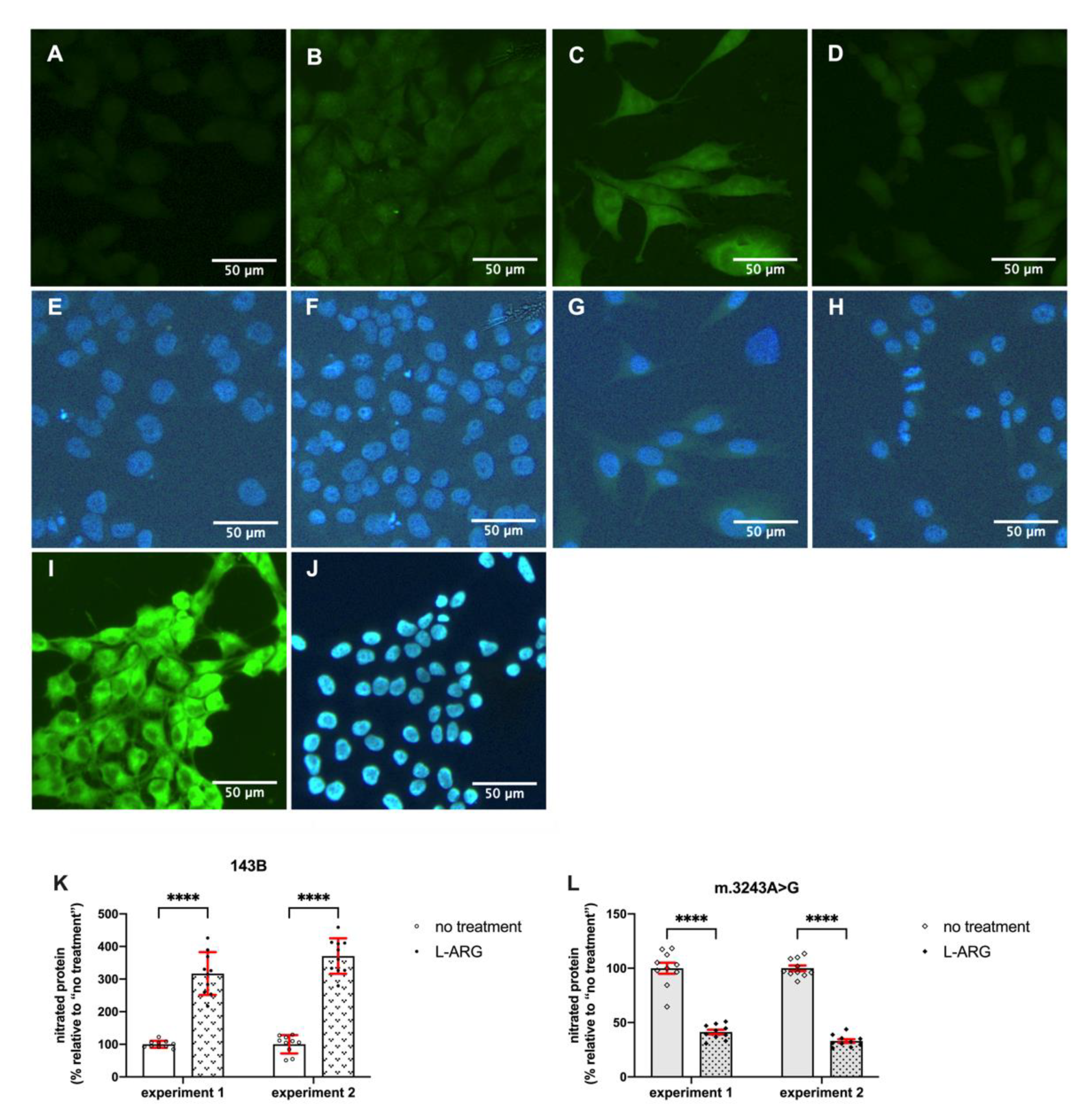 Nutrients 13 00534 g005