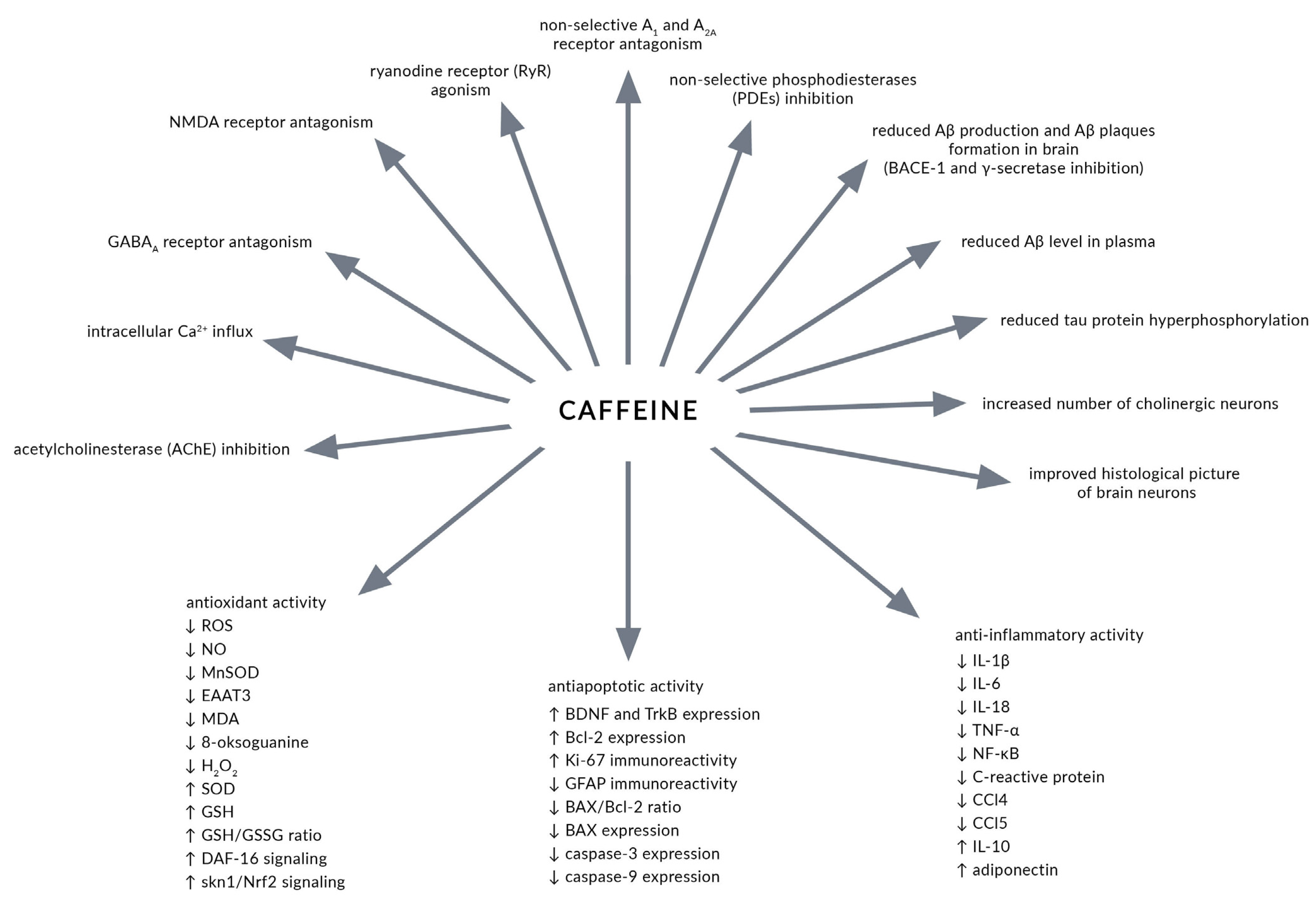 Nutrients 13 00537 g001 Nutrients 13 00537 g001