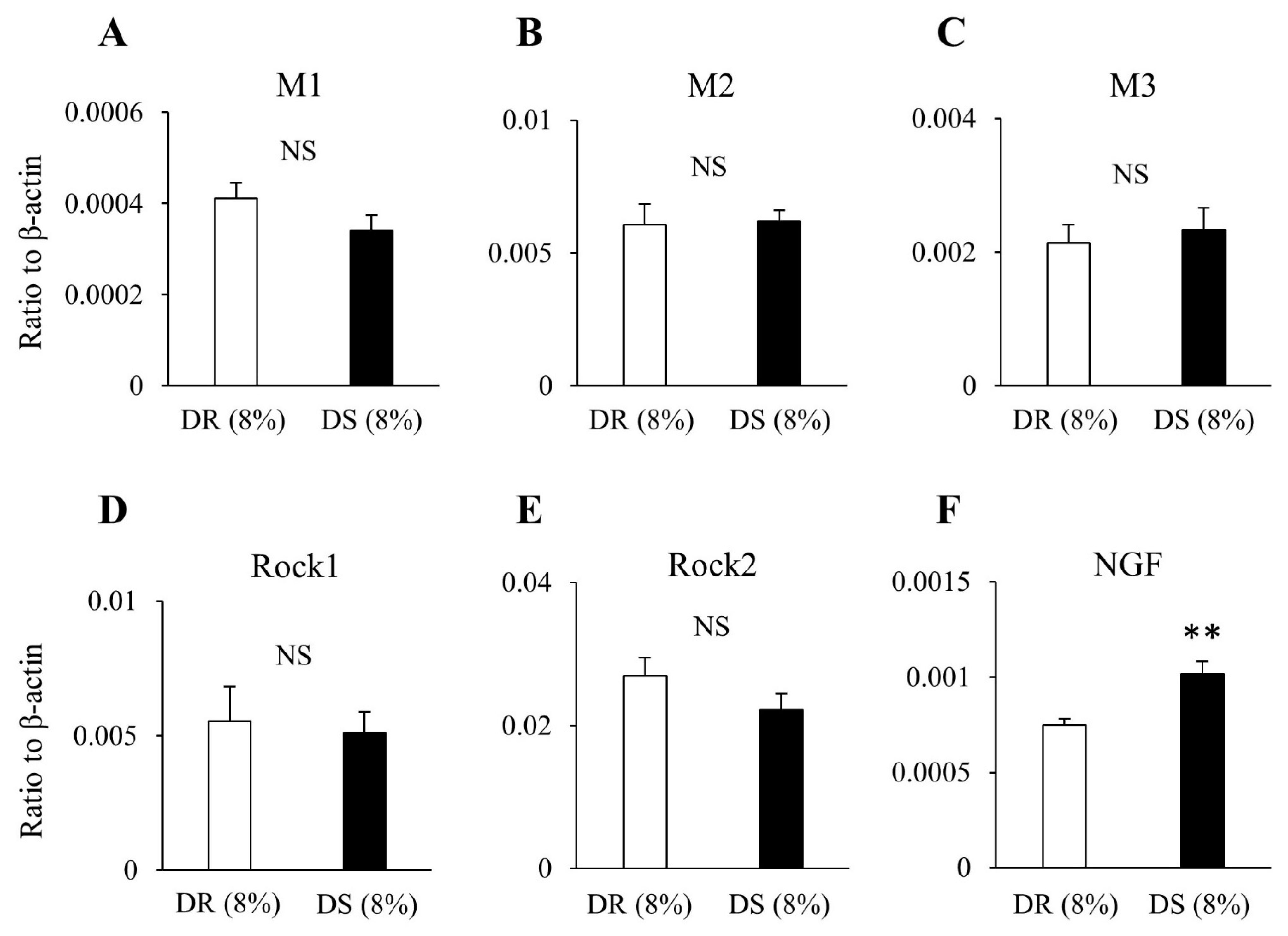 Nutrients 13 00539 g007 Nutrients 13 00539 g007