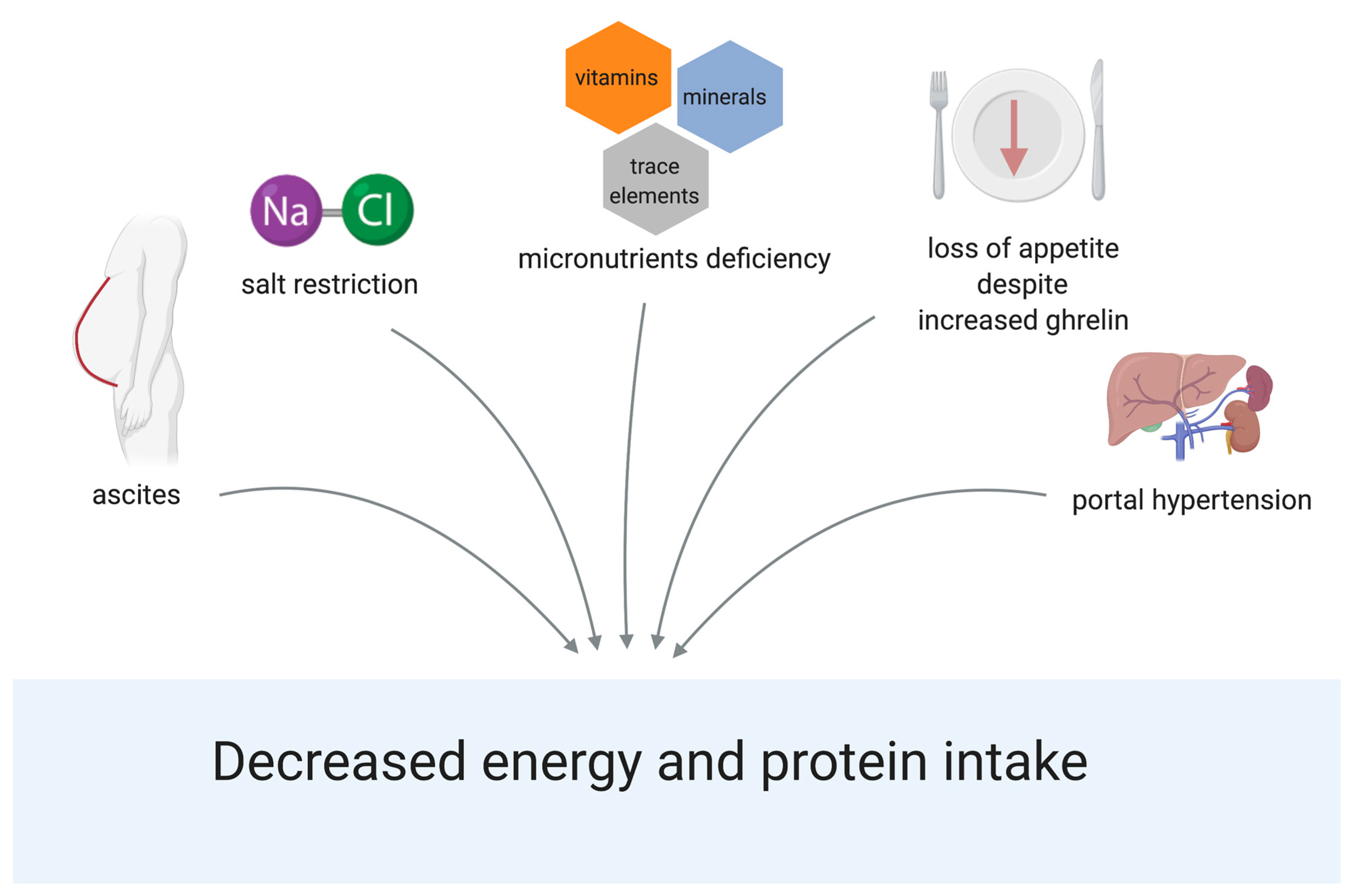 Nutrients 13 00540 g002 Nutrients 13 00540 g002