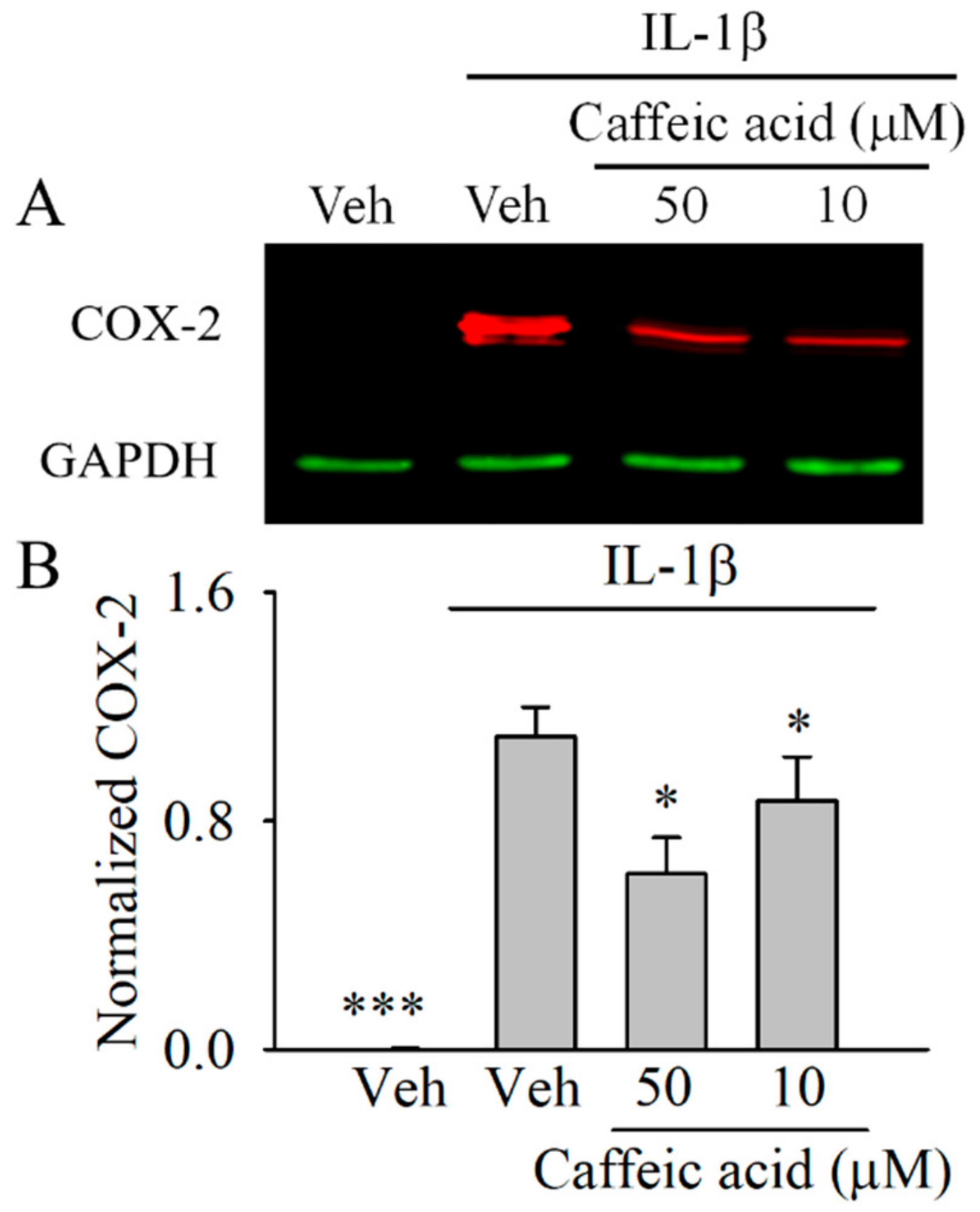 Nutrients 13 00554 g003