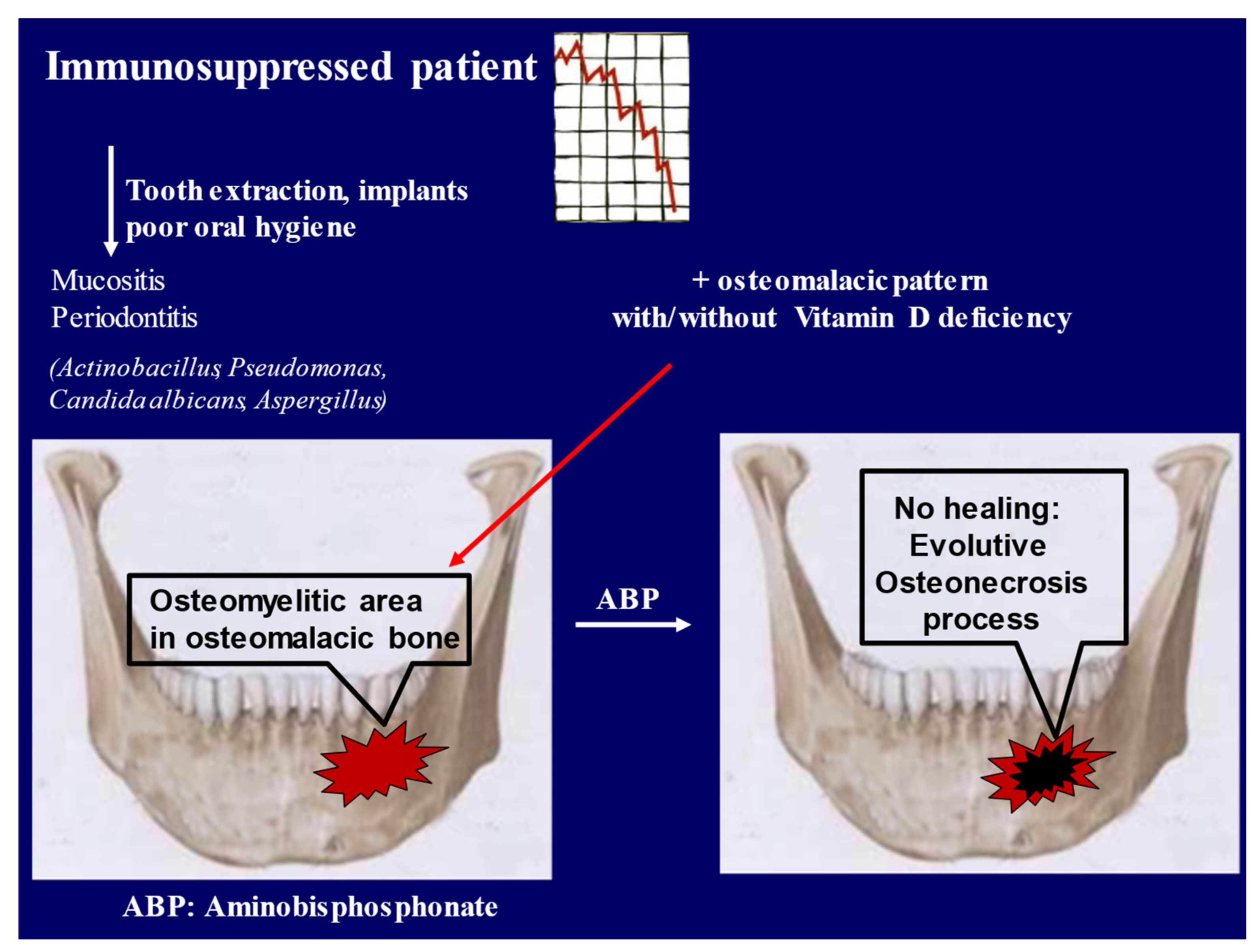 Nutrients 13 00561 g003