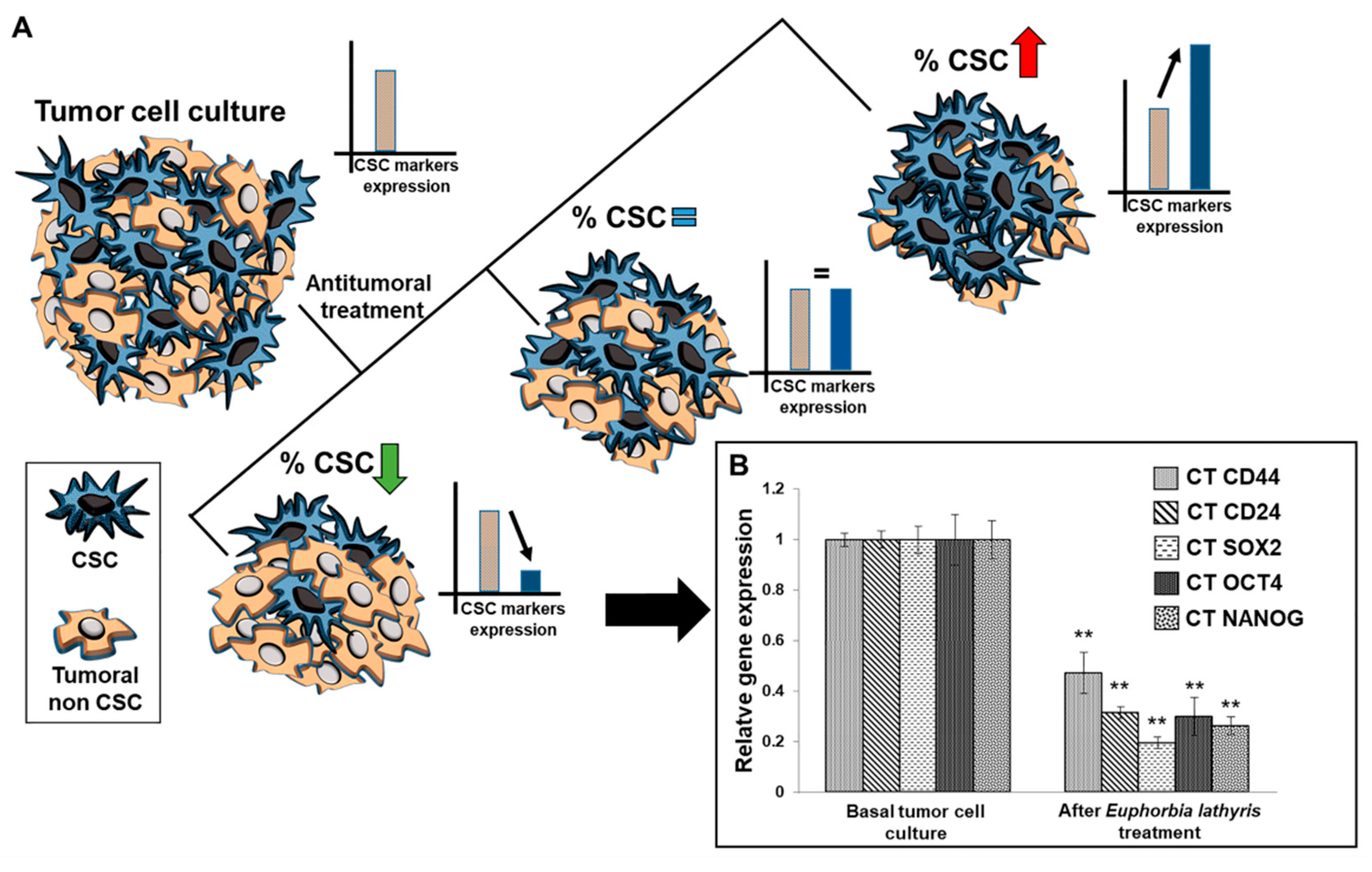 Nutrients 13 00566 g005 Nutrients 13 00566 g005