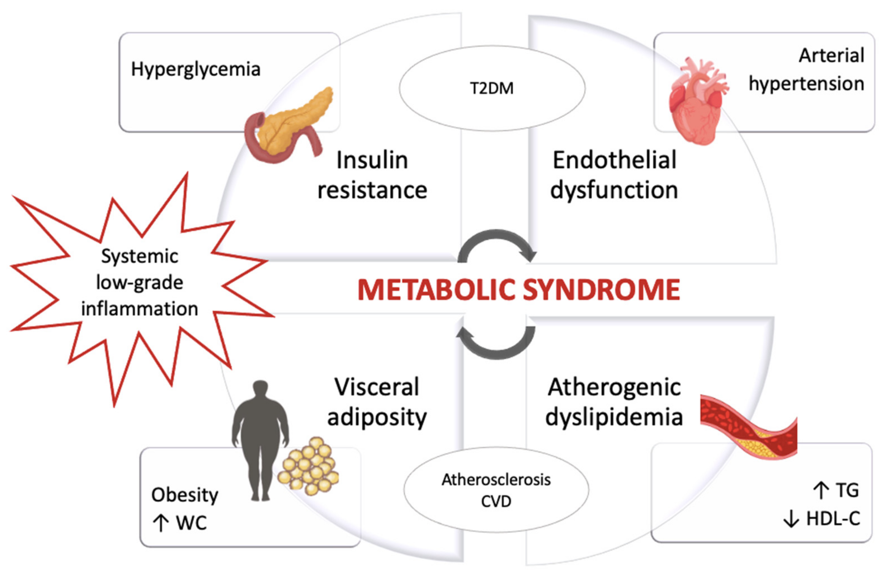 Nutrients 13 00630 g001 Nutrients 13 00630 g001