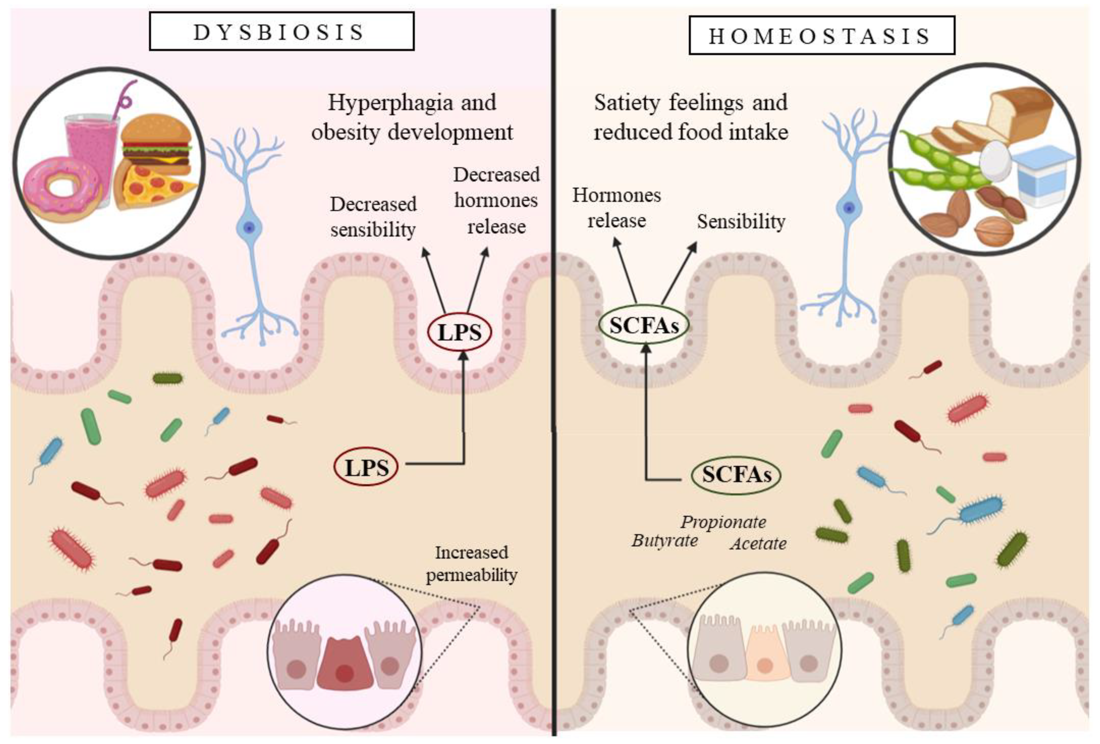 Nutrients 13 00632 g003 Nutrients 13 00632 g003