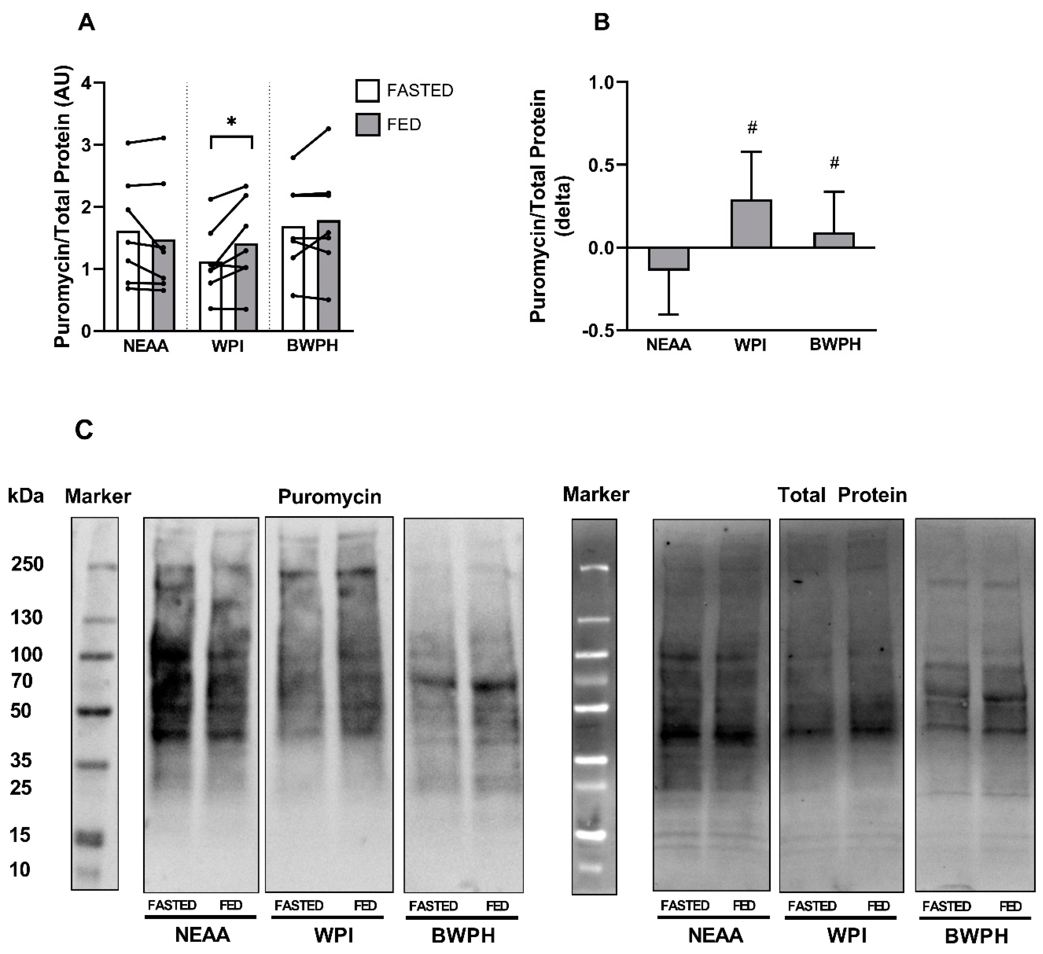 Nutrients 13 00647 g003