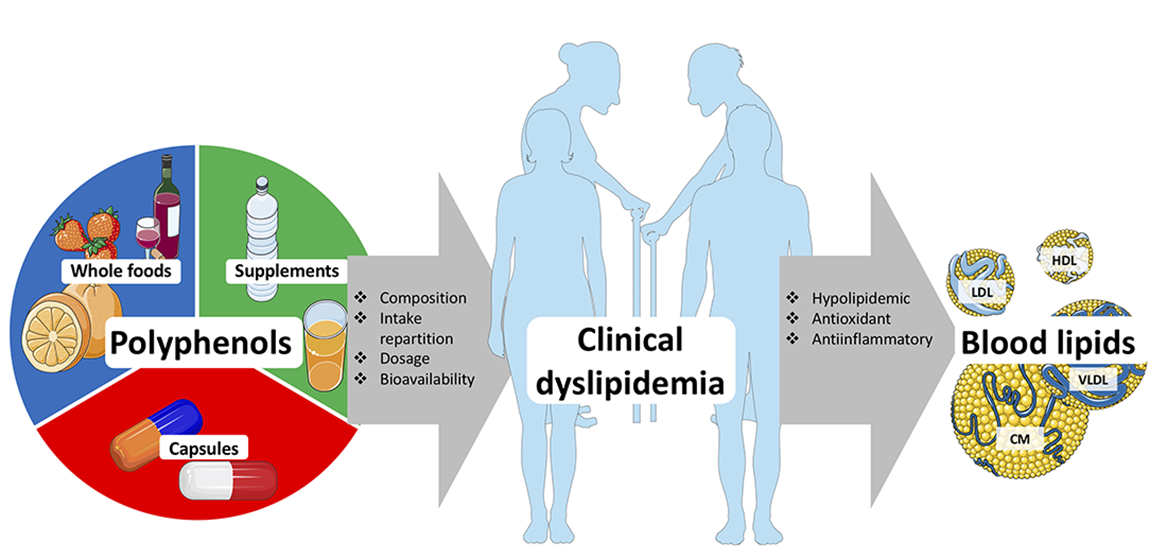 Nutrients Free FullText Efficacy of Polyphenols in the Management