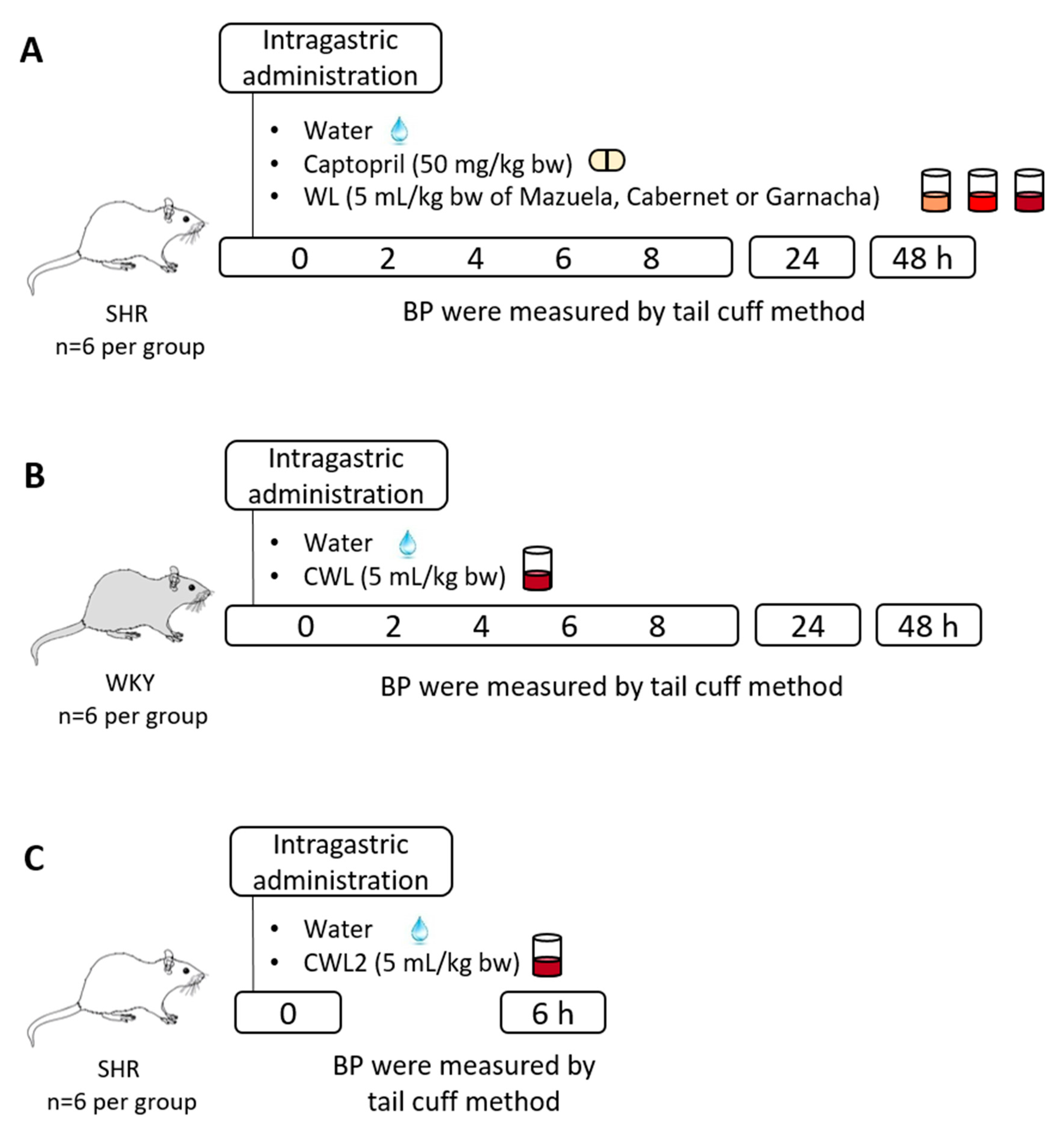 Nutrients 13 00679 g001 Nutrients 13 00679 g001