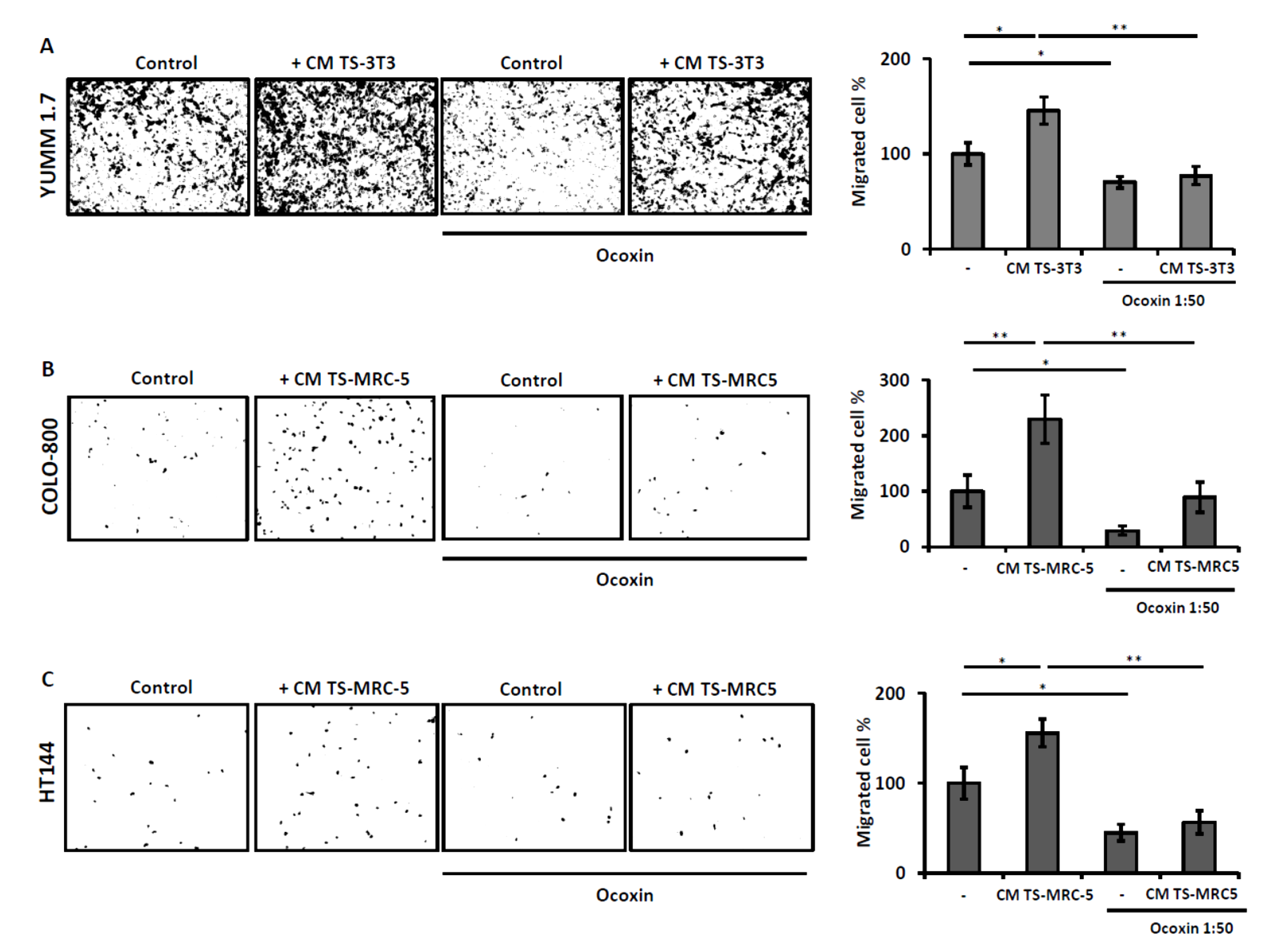Nutrients 13 00686 g005