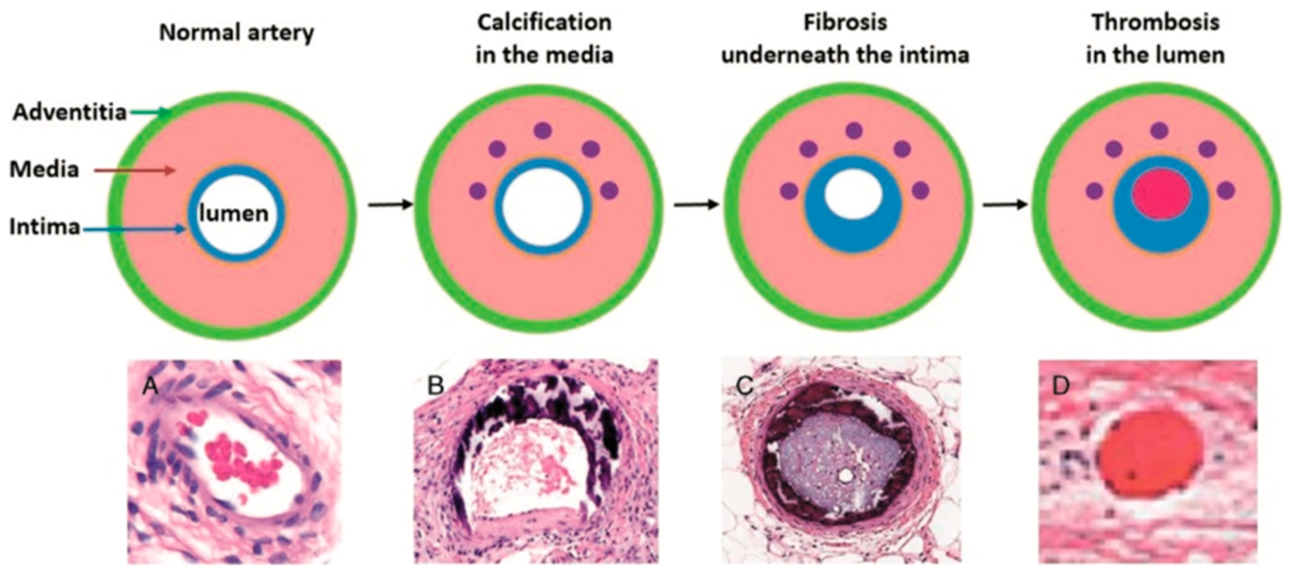 Nutrients 13 00691 g004