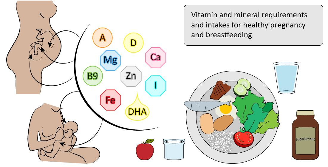 Nutrients Free FullText Nutrient Requirements during Pregnancy and